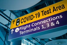 Travel tests have virtually no impact on spread of Covid variants, study shows