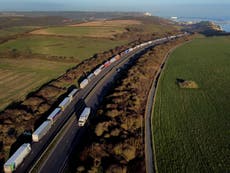 ‘Brexit to blame’: Huge lorry queues at Dover as port bosses call for talks on EU checks