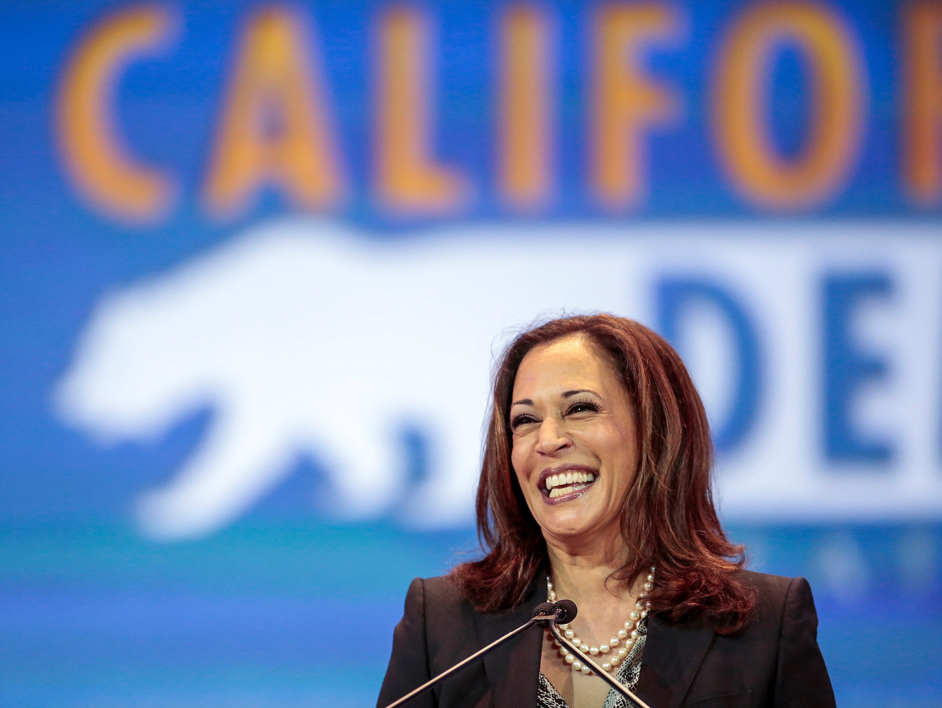 Kamala Harris Wildfires