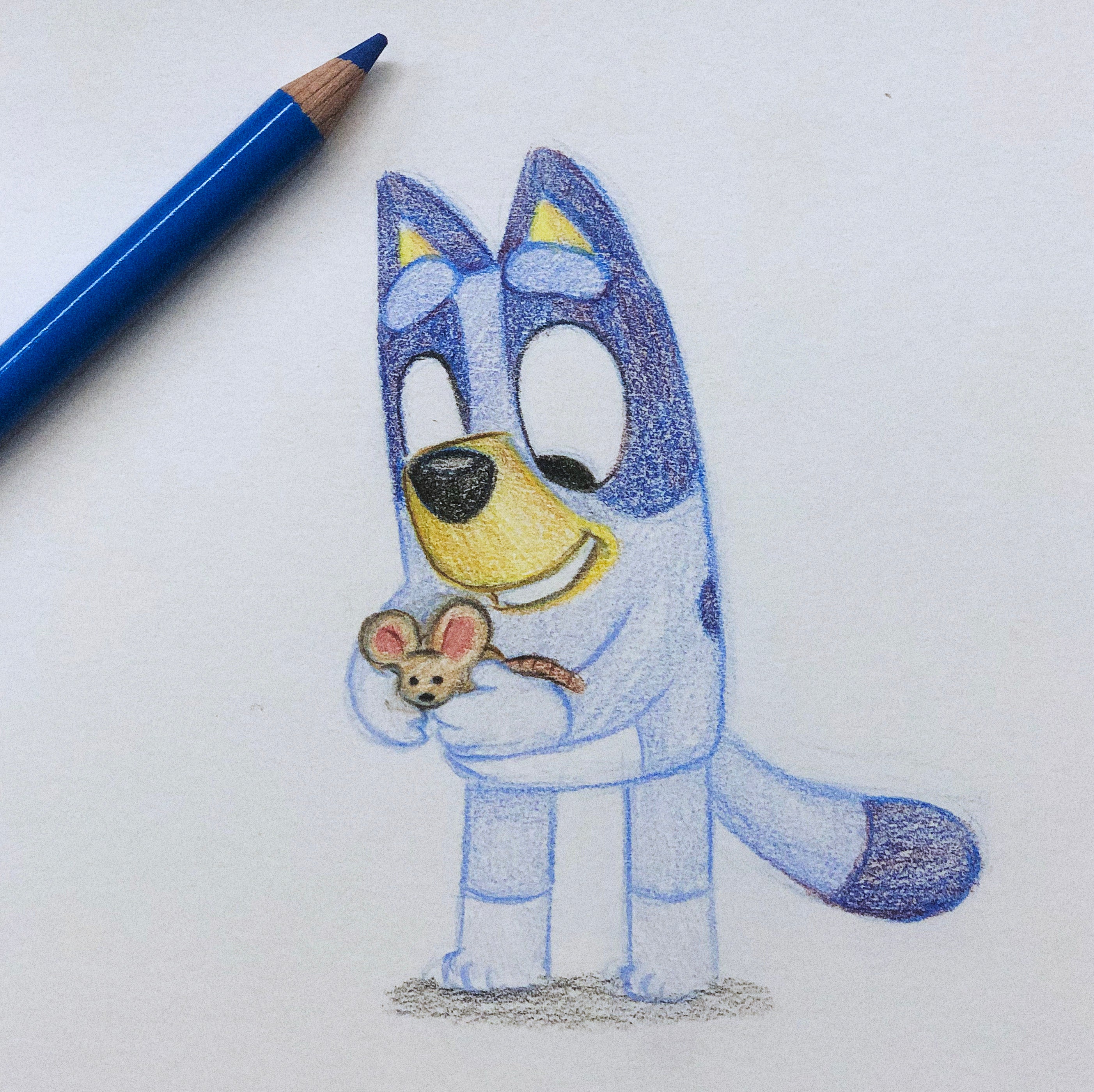 Animated blue heeler Bluey and her family have won the hearts of global viewers of all ages - and their Aussie accents and phrases, anecdotally, are seeping into young fans’ speech