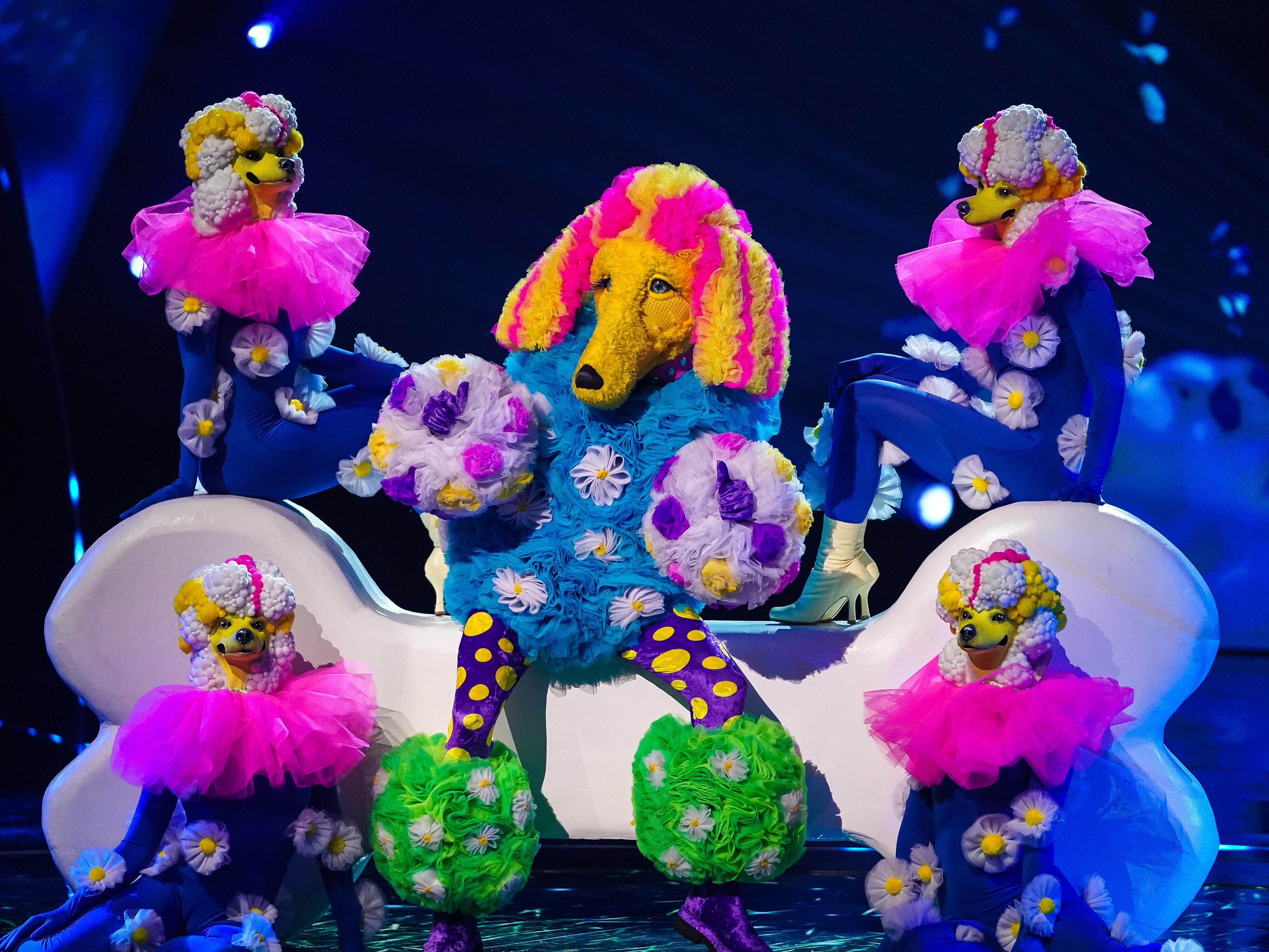 Tom Chaplin, pictured in his Poodle costume during ‘The Masked Singer'