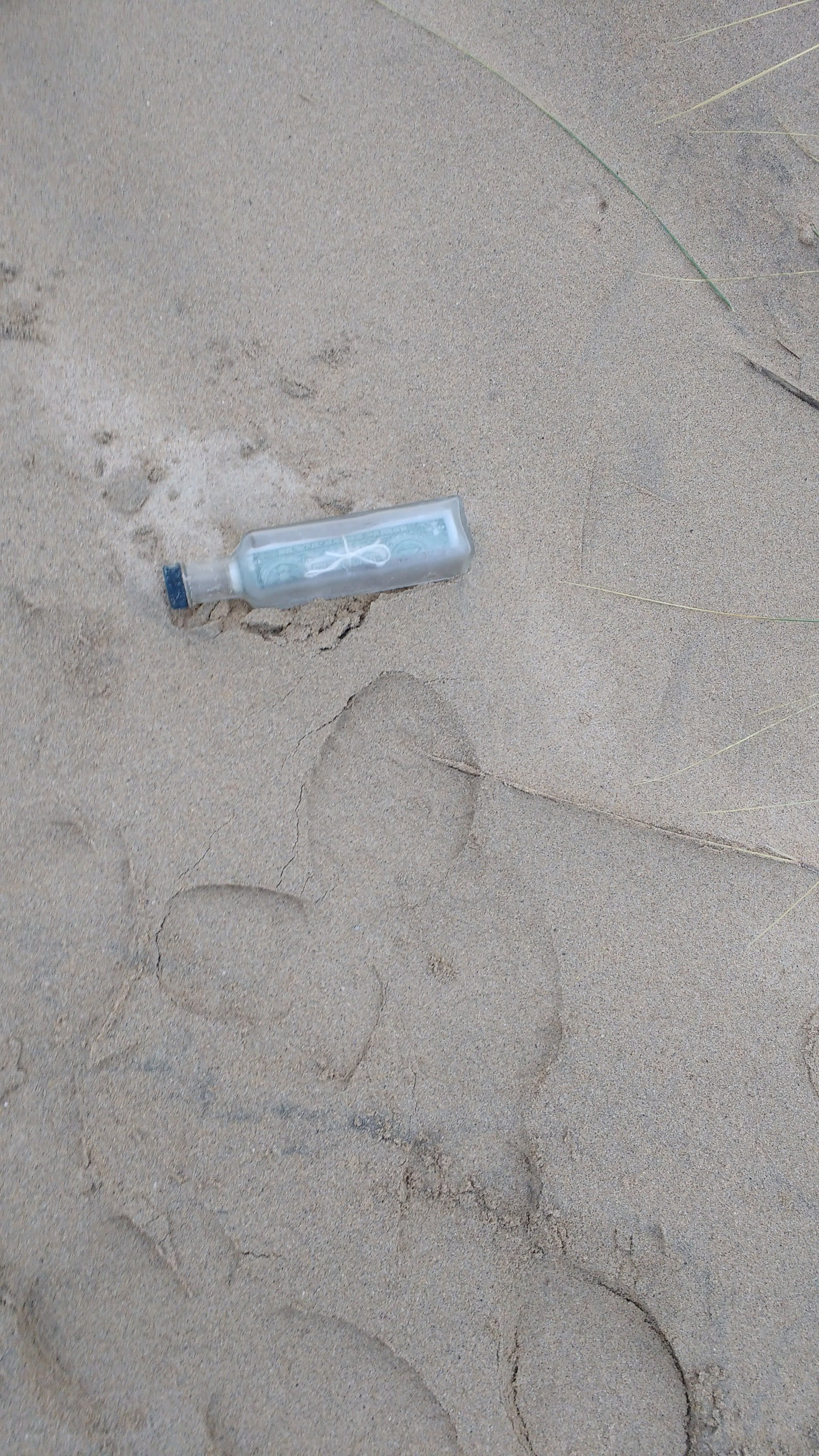 Rita Simmonds, 69, and Ciaran Marron, 64, found this bottle carrying Sasha Yonyak’s message on a beach in Donegal, Ireland