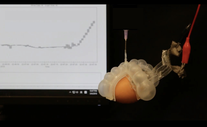 Self-powered sensor can be integrated into soft robots, smart clothing