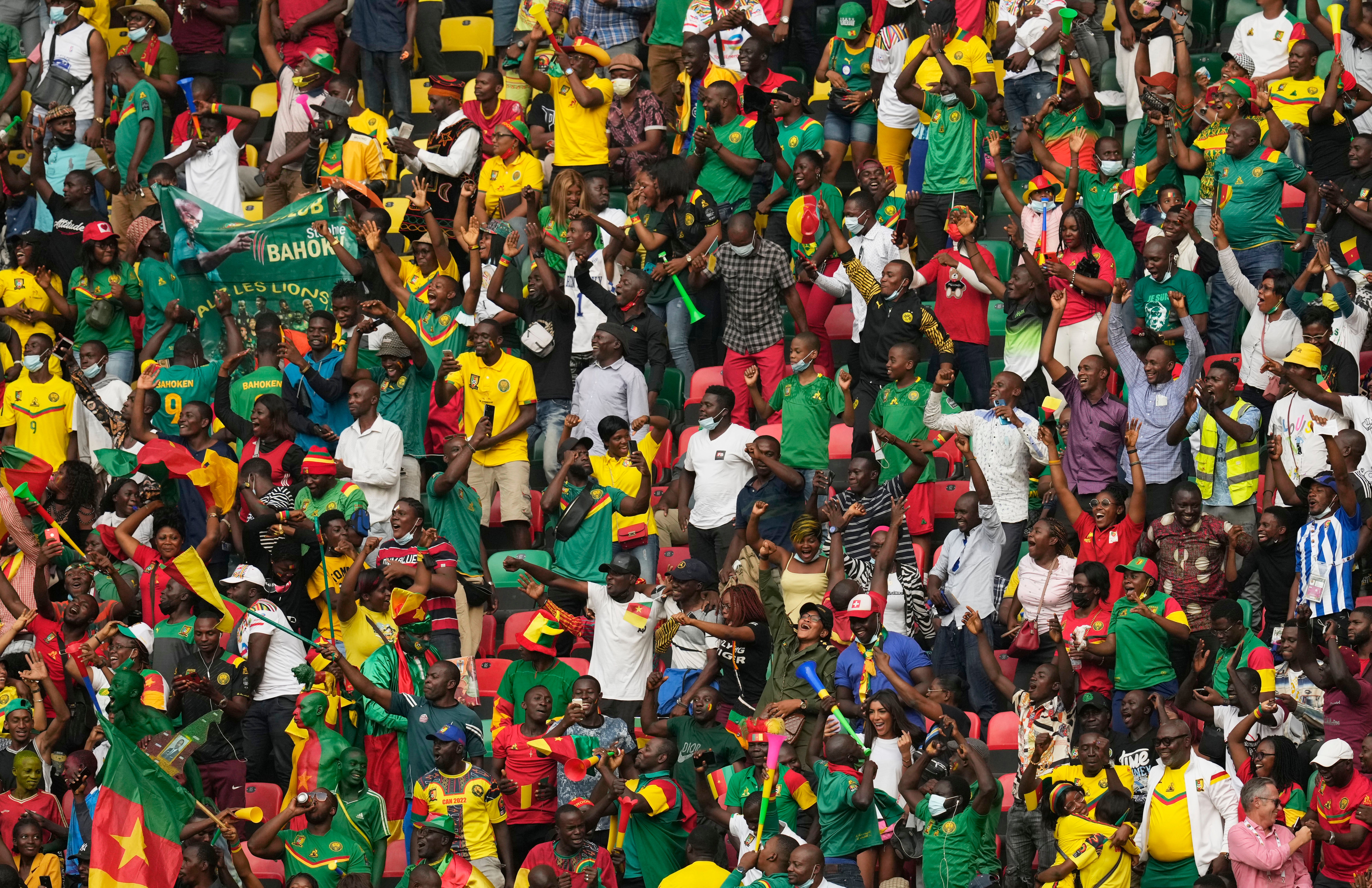 Cameroon fans at the Africa Cup of Nations (Themba Hadebe/AP)