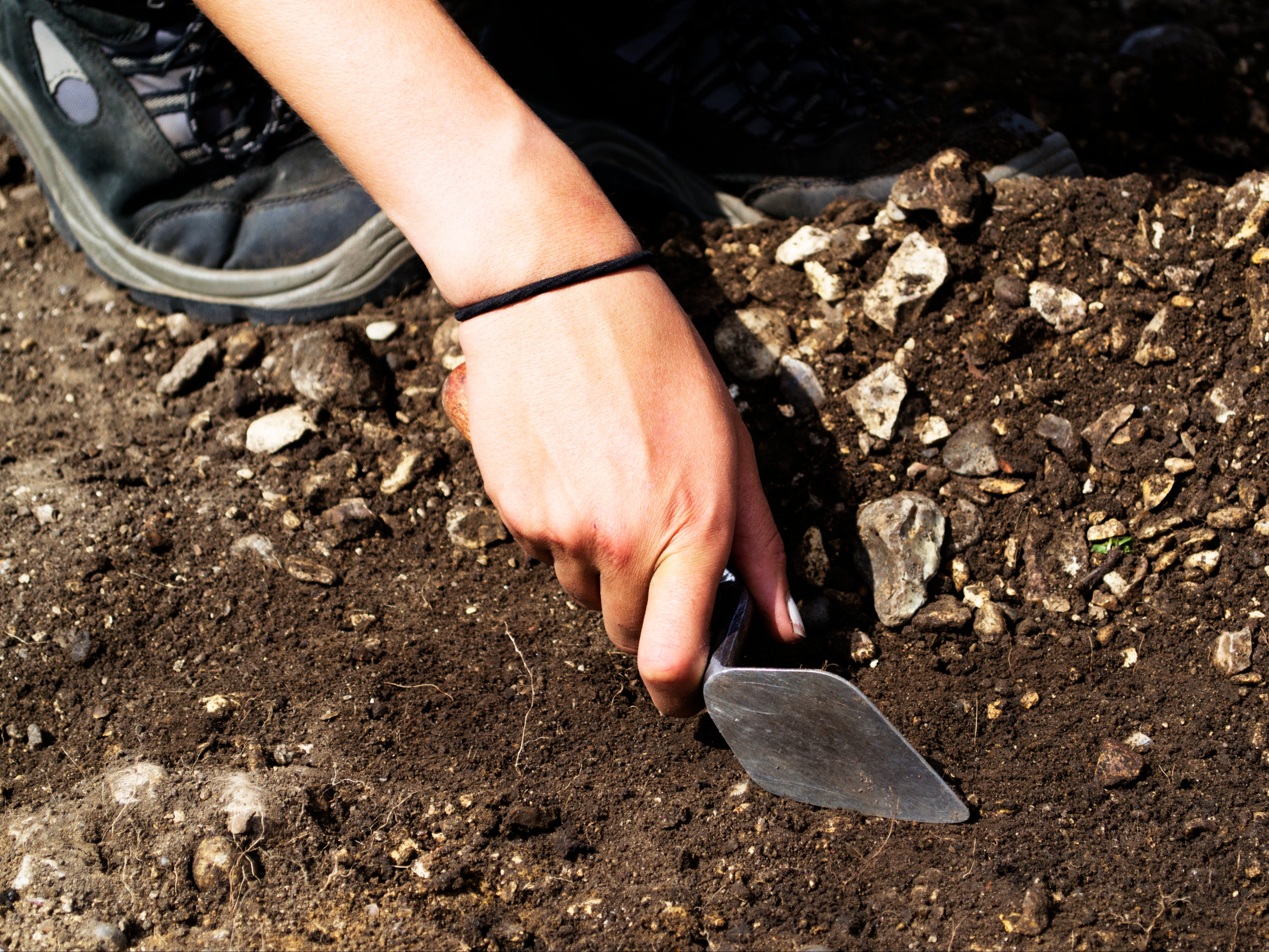 Experts have warned over how the climate crisis could affect artefacts in peatland areas