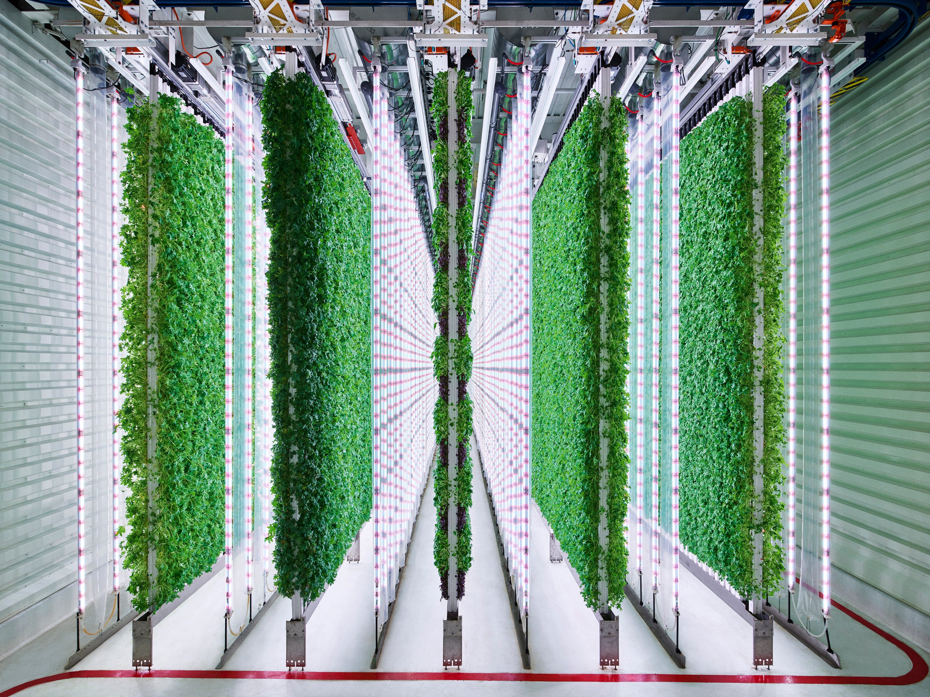 Walmart Vertical Farming