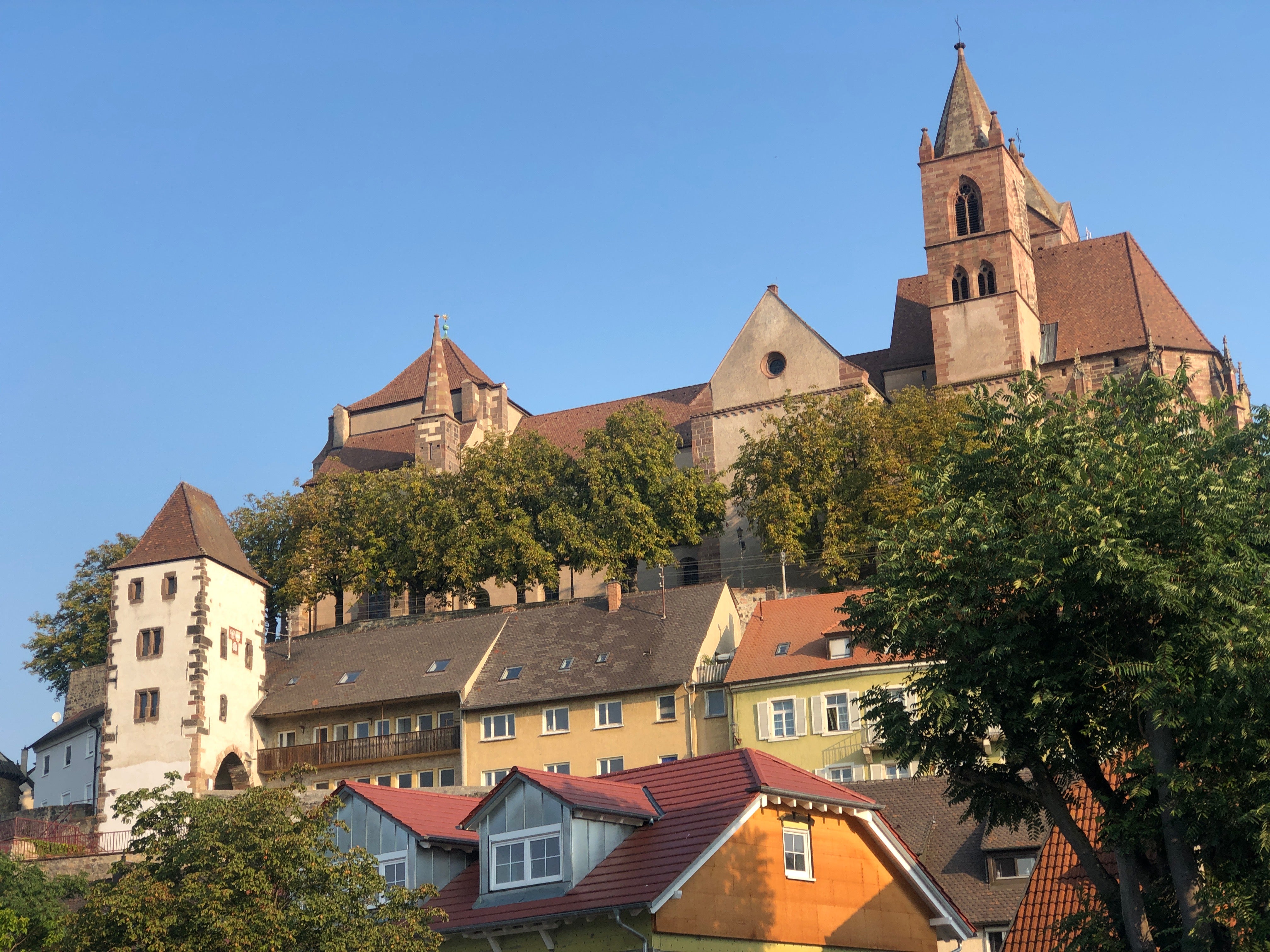 Rhineland wonder: Breisach, on the Franco-German border