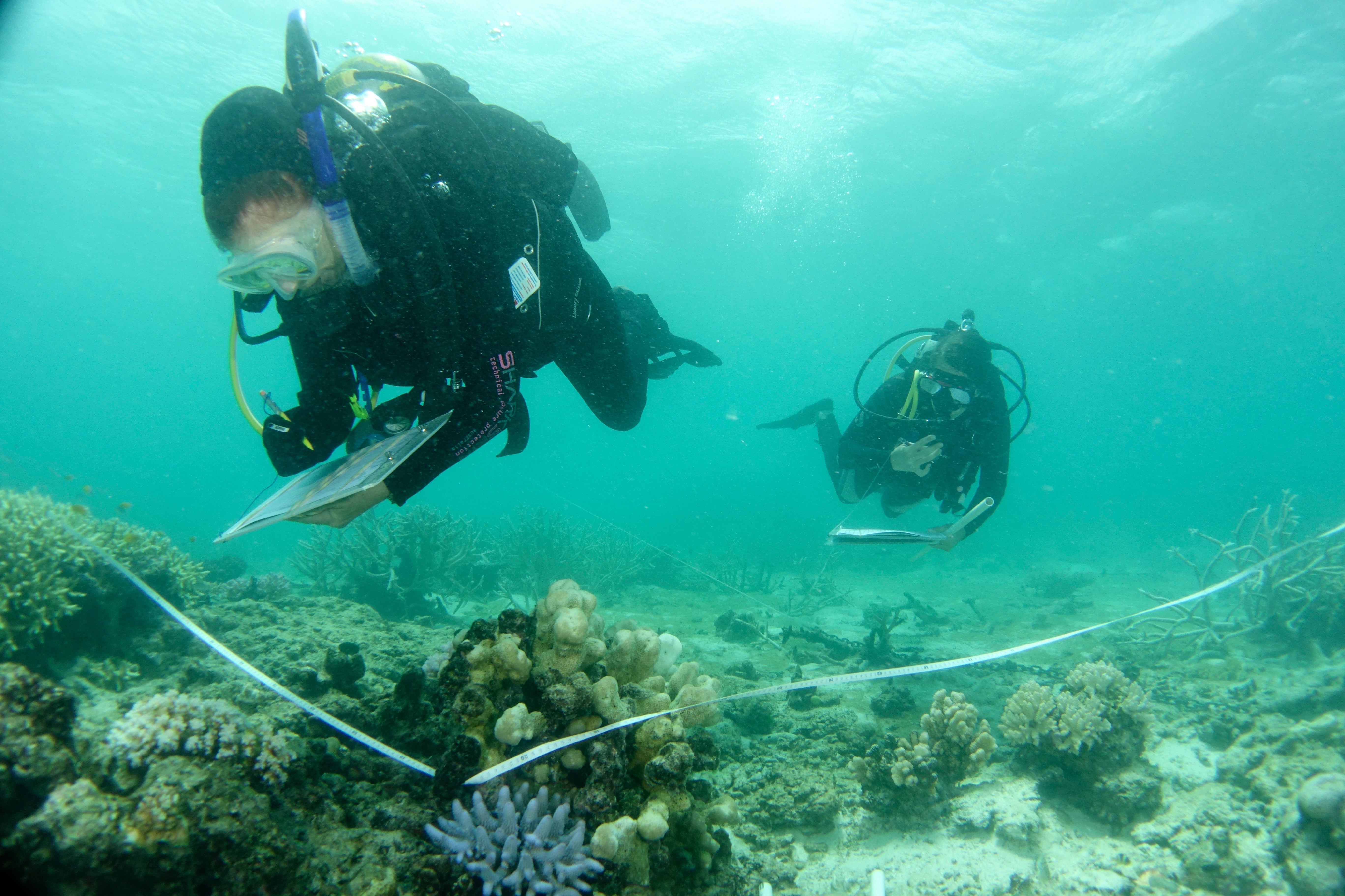 Australia Barrier Reef