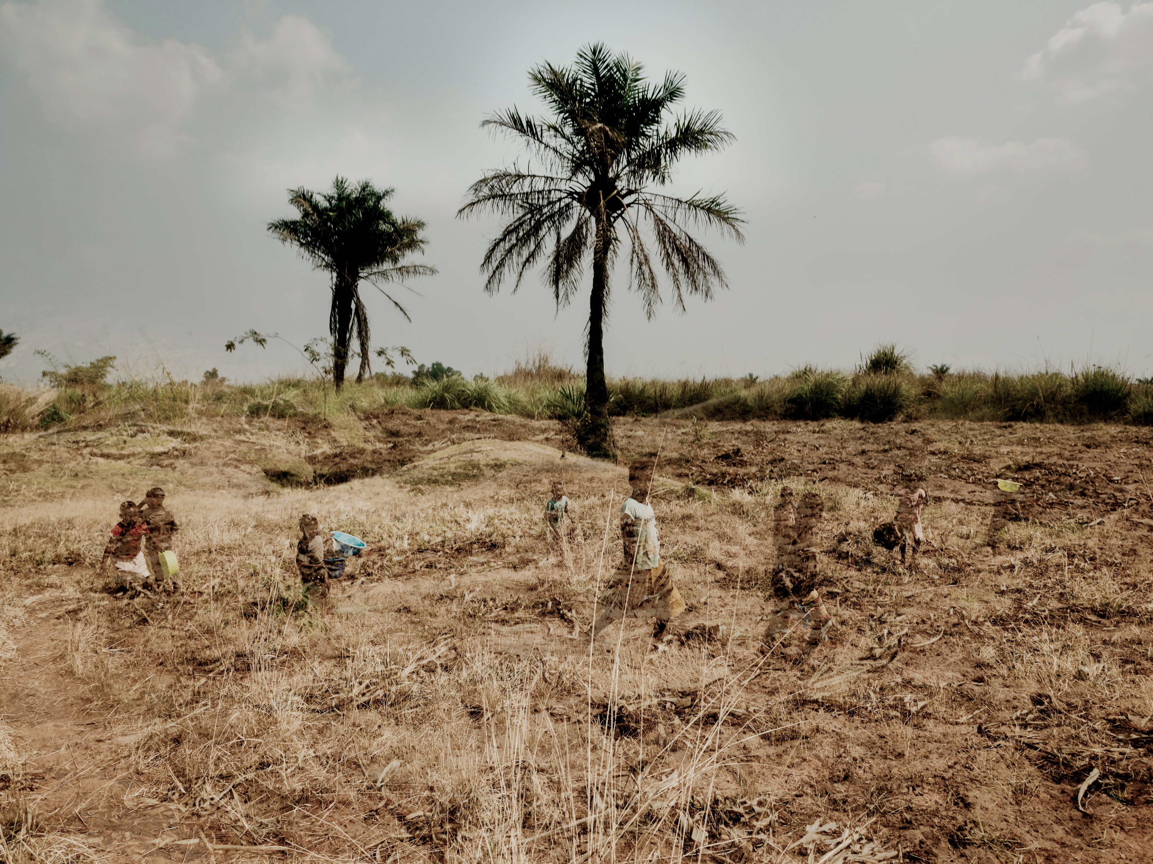 Crop harvests in Kasai-Oriental are poor