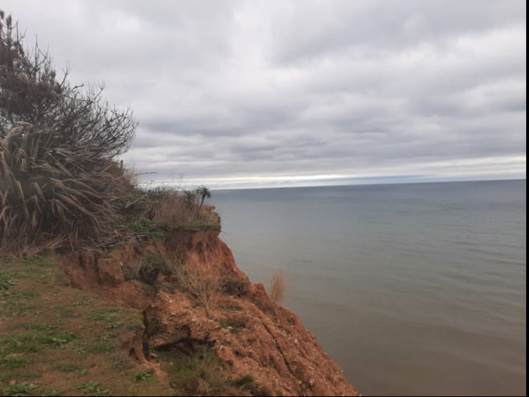 A section of Paul Griew’s garden fell off the cliff several years ago