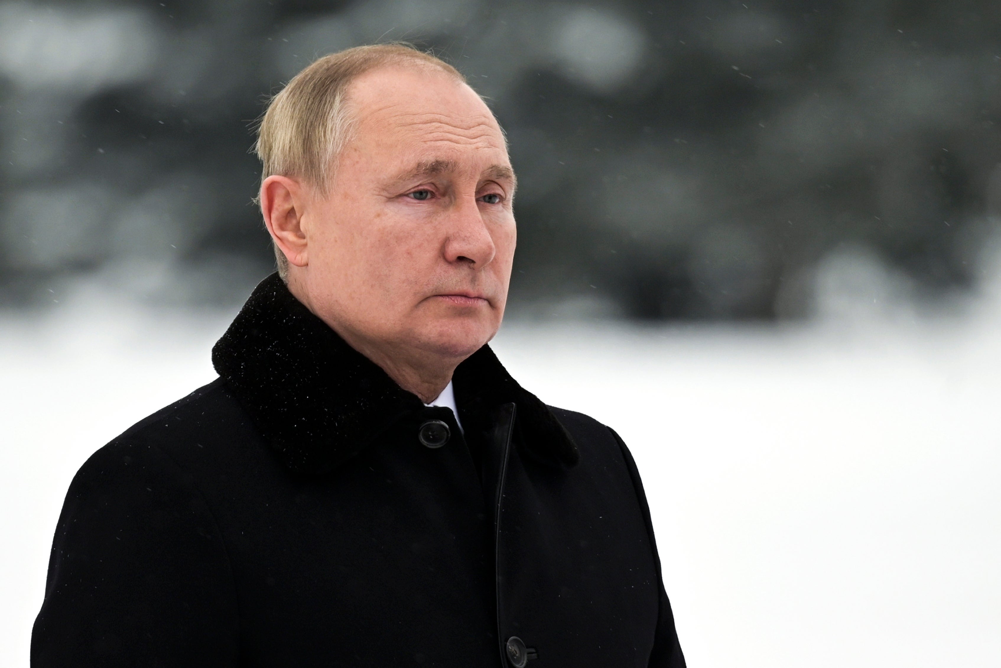 Ukraine Putin Options Explainer