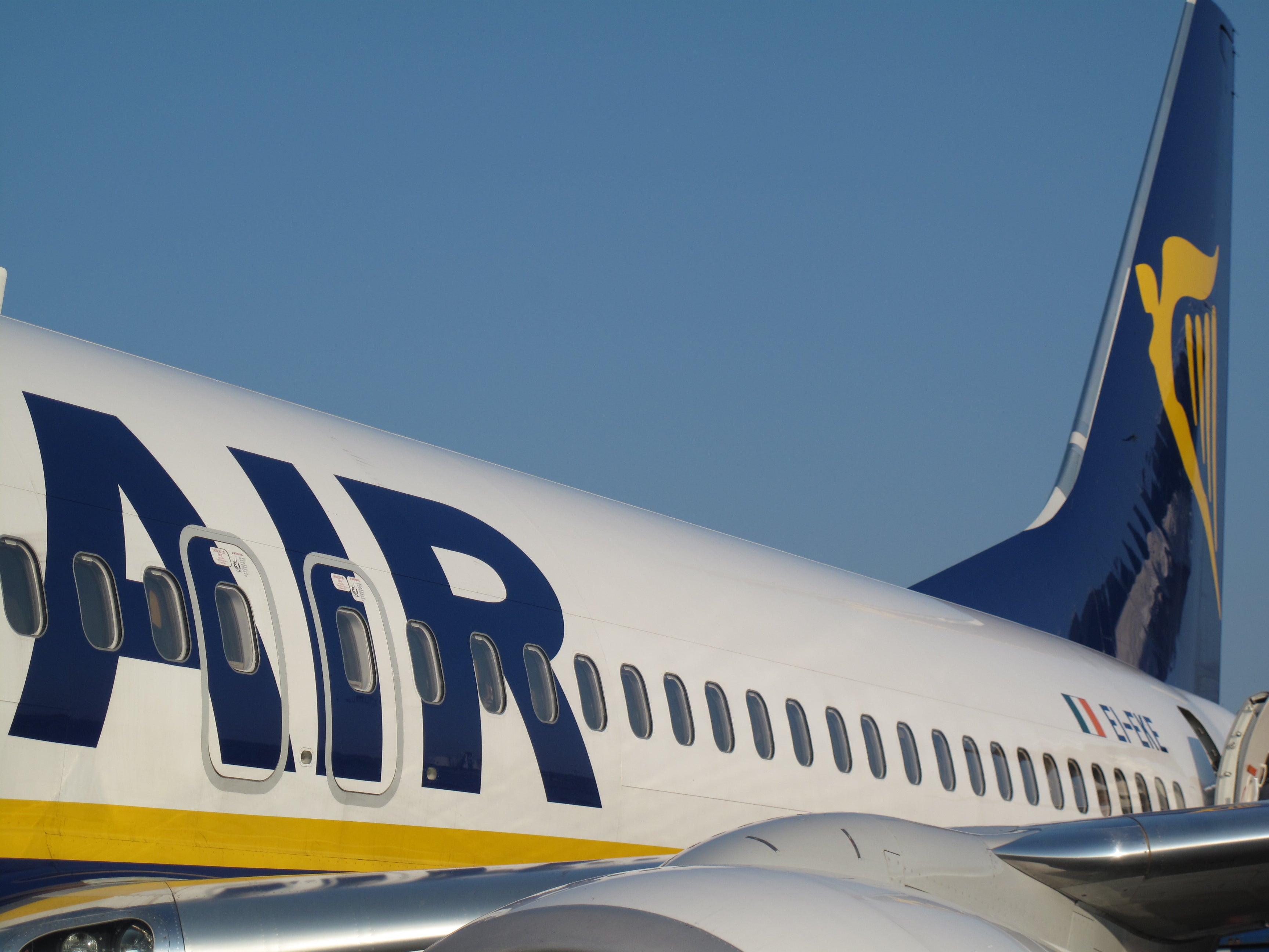 Loss leader: Ryanair, Europe’s biggest budget airline, predicts more losses this year