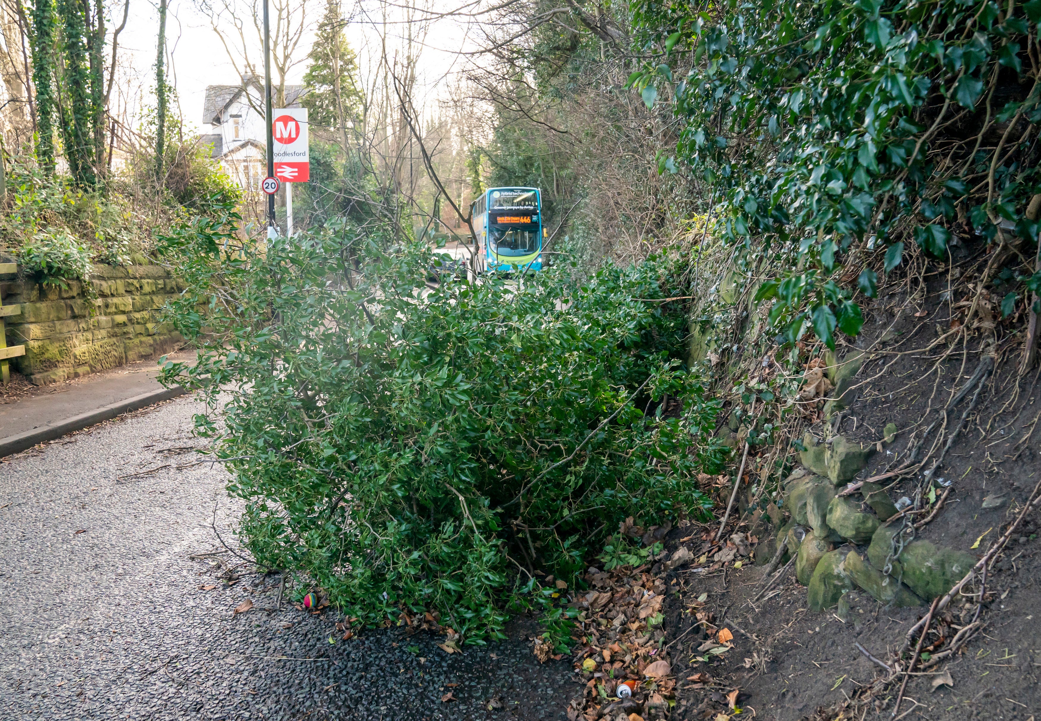 A fallen tree blocks a road in Woodlesford in West Yorkshire after Storm Malik