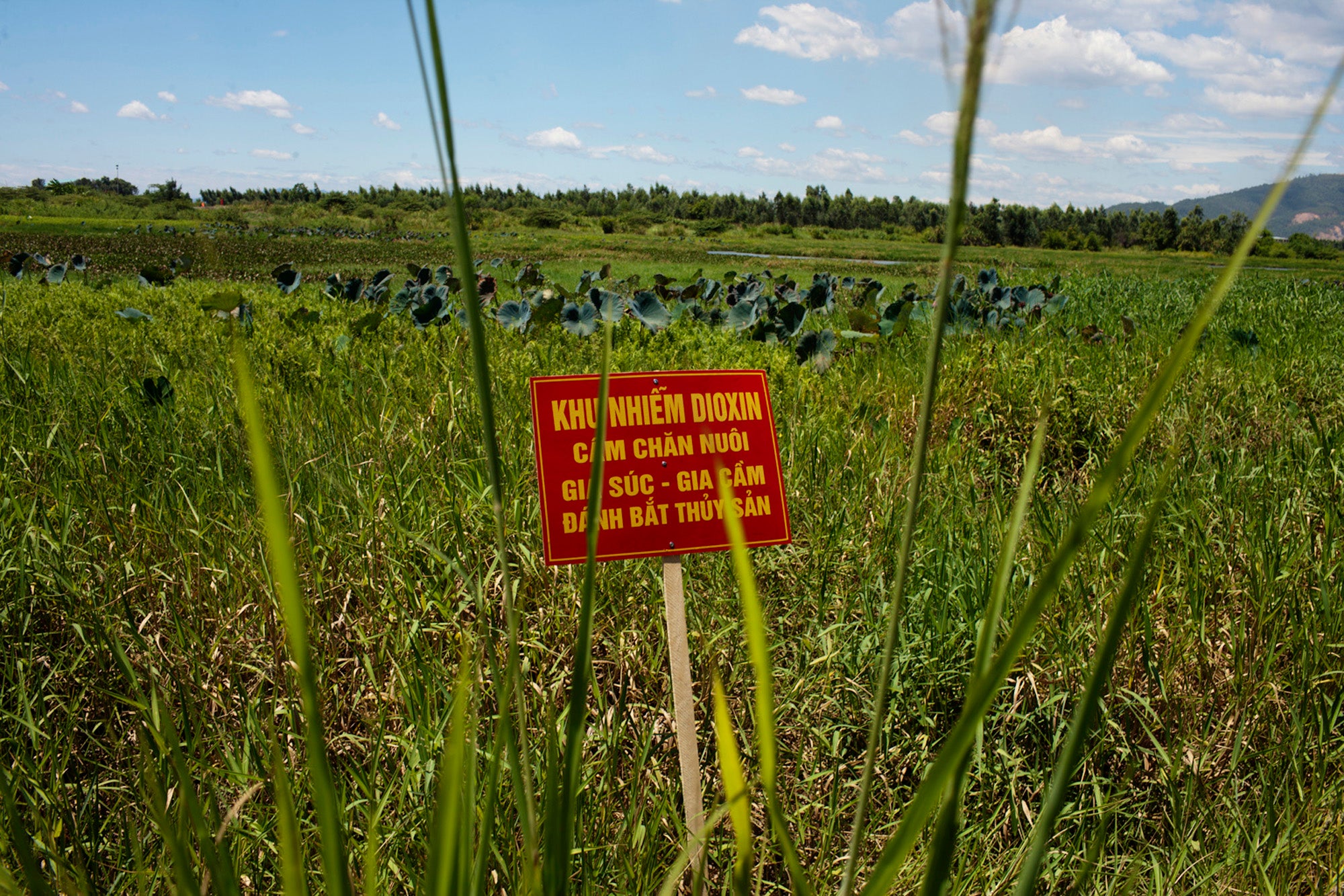 A sign warning of Agent Orange at a former US military base in Danang, Vietnam, following the Vietnam War