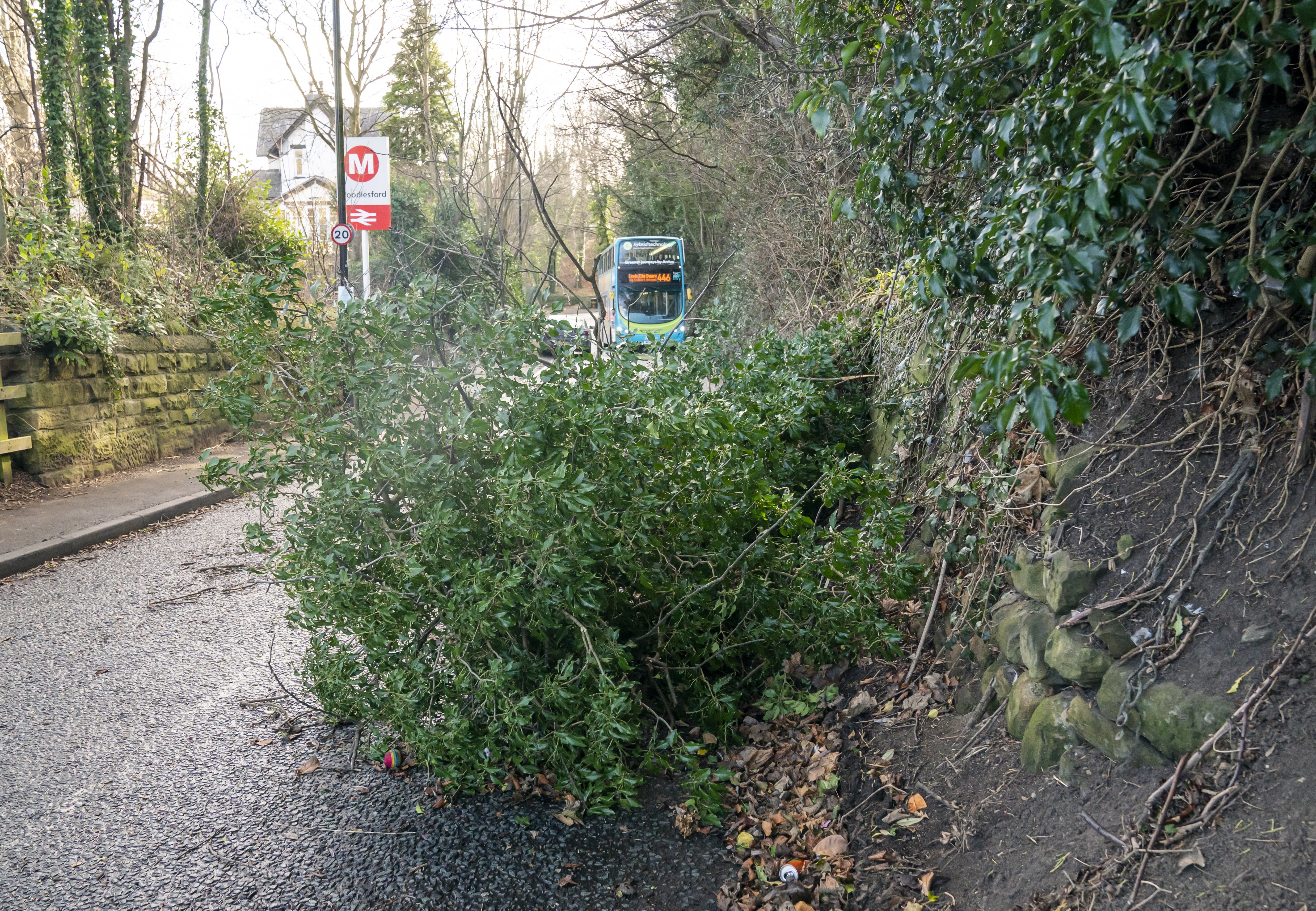 A fallen tree blocks a road in Woodlesford in West Yorkshire (Danny Lawson/PA)