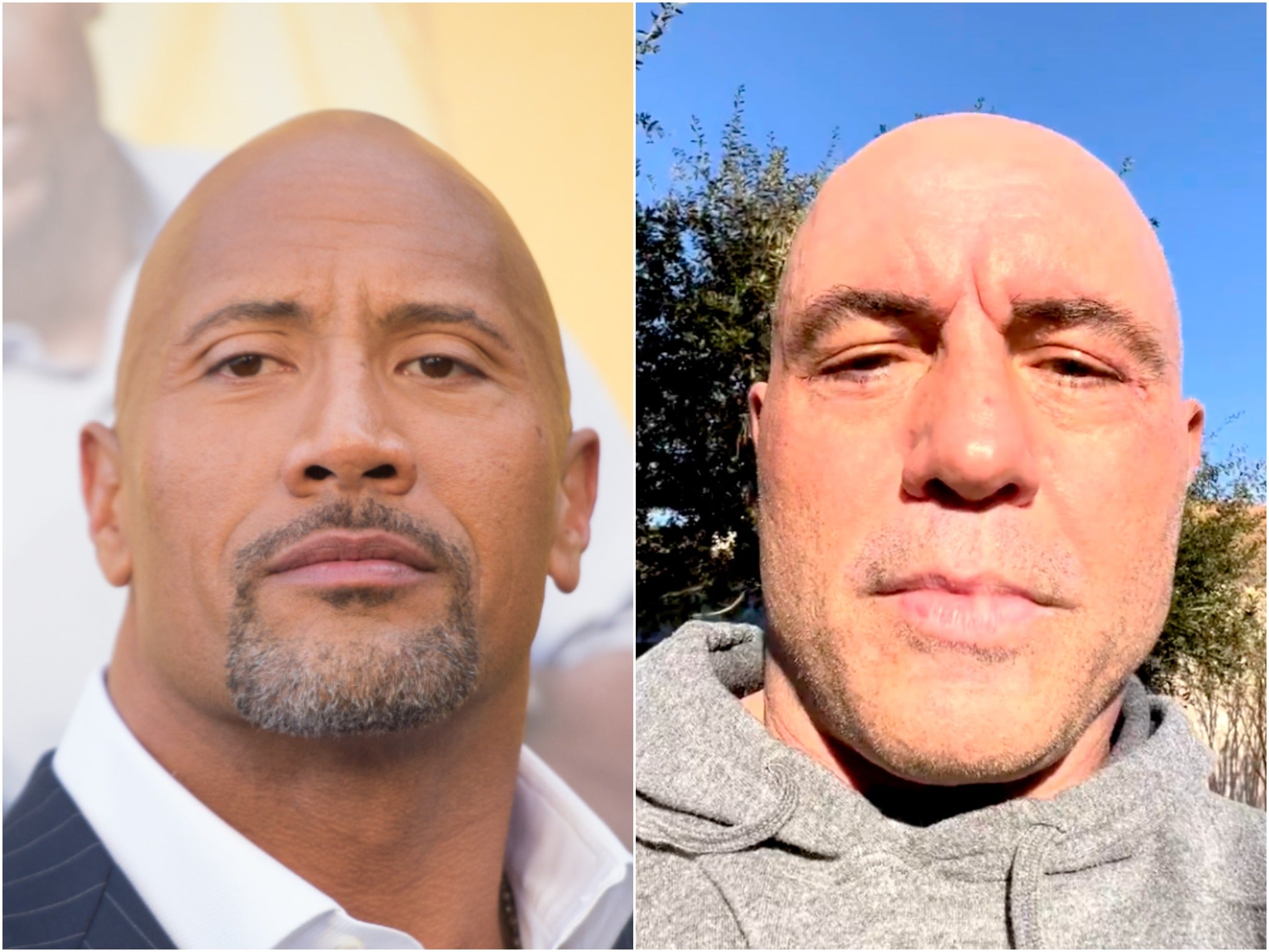 Dwayne Johnson (left) and Joe Rogan