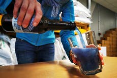 Sacrebleurgh? French brewery turns beer blue with algae