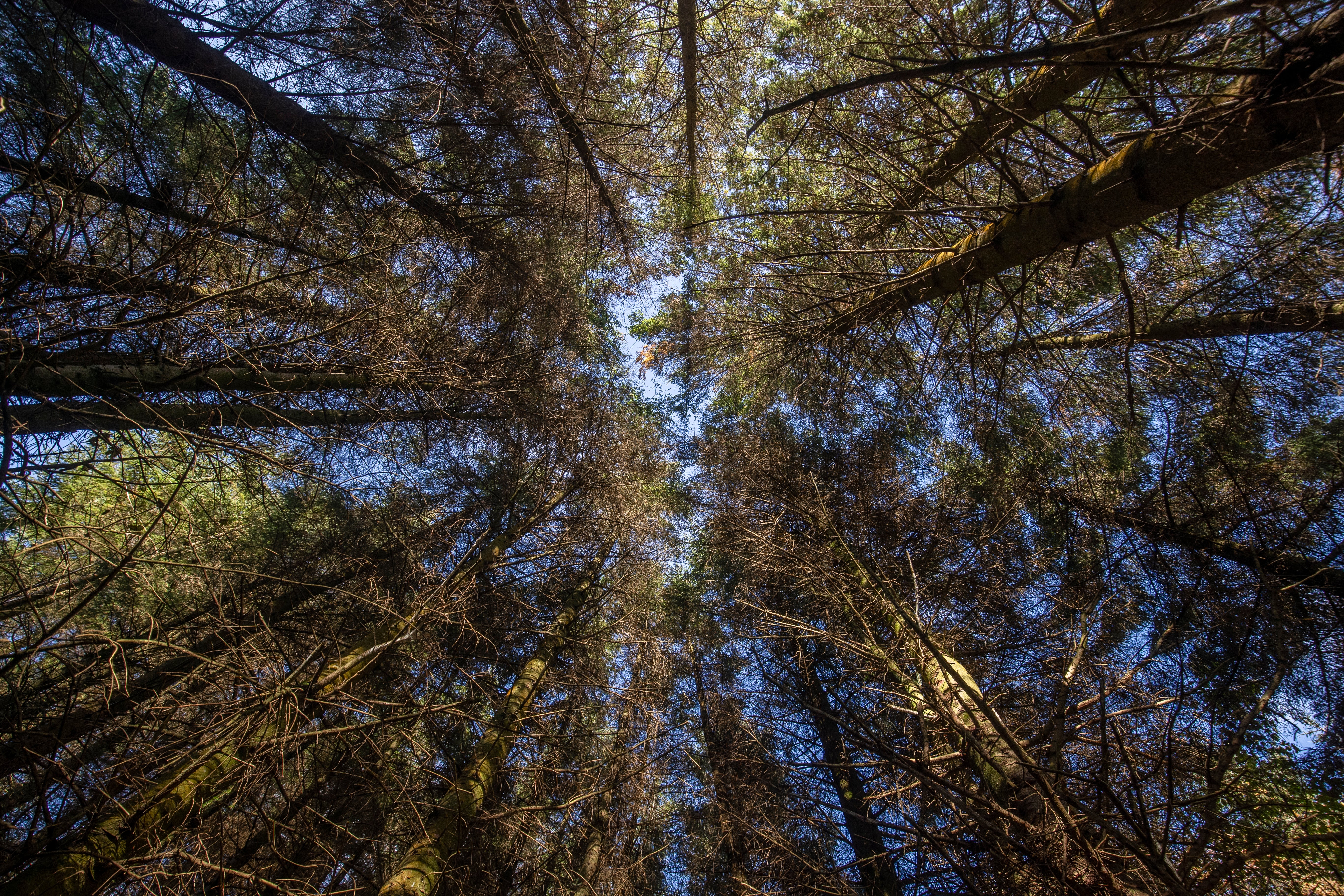 Love of nature is partially passed down from parents, a study of twins suggests (Danny Lawson/PA)