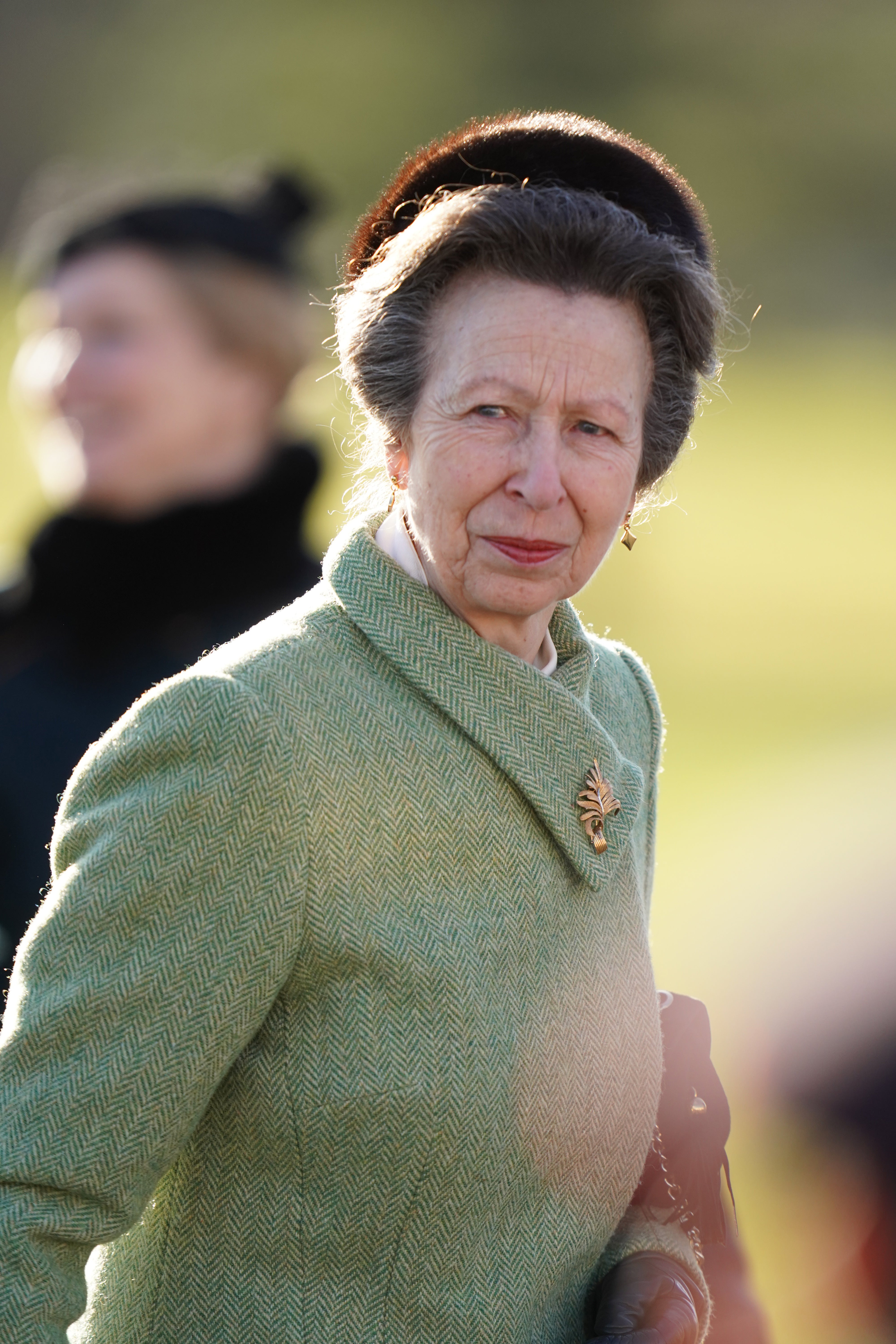 The Princess Royal has sent a good luck message to Team GB (PA)