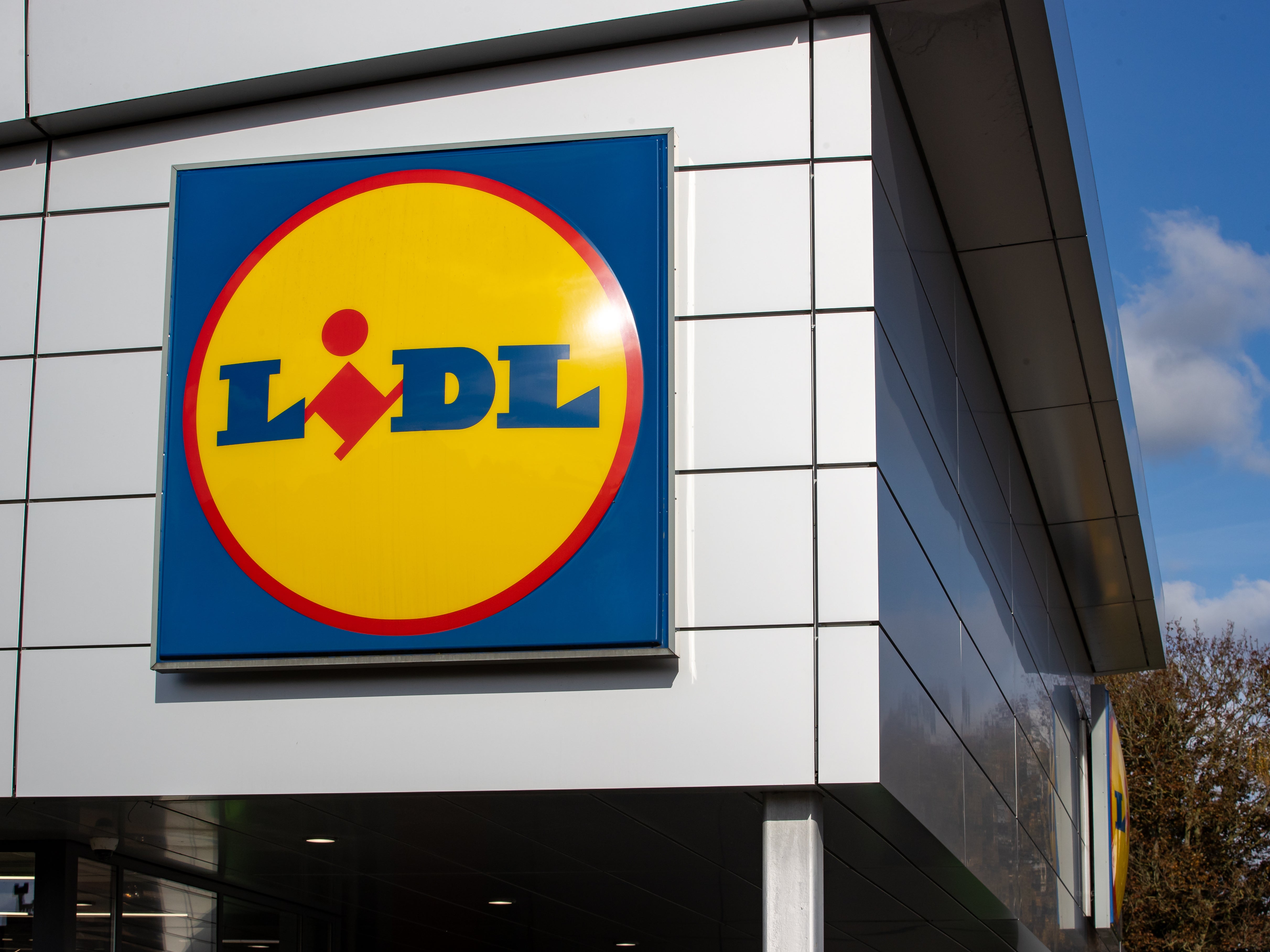 Lidl came joint top in the new sustainability ranking by Which?