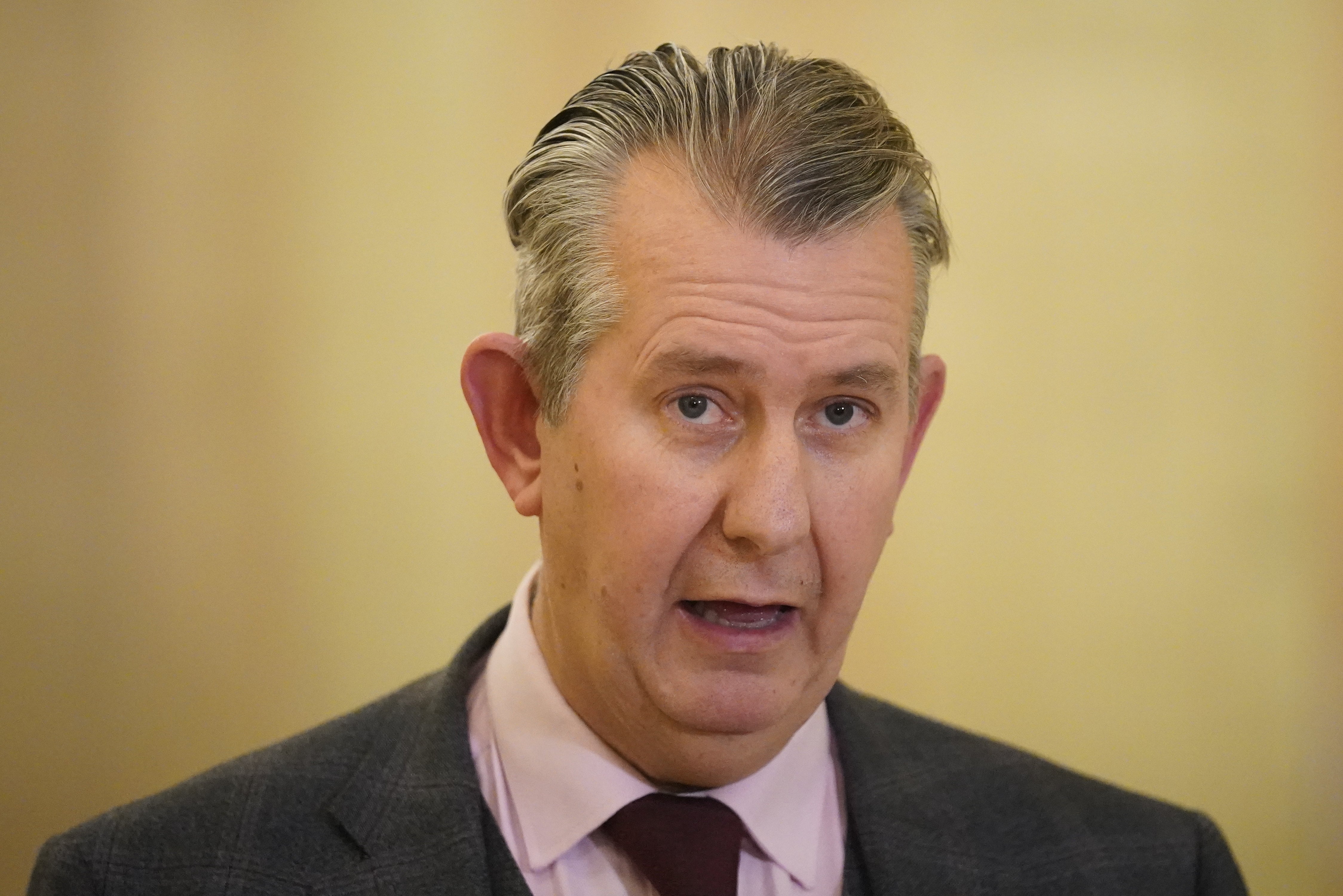 Northern Ireland Agriculture Minister Edwin Poots acted unilaterally to halt port checks