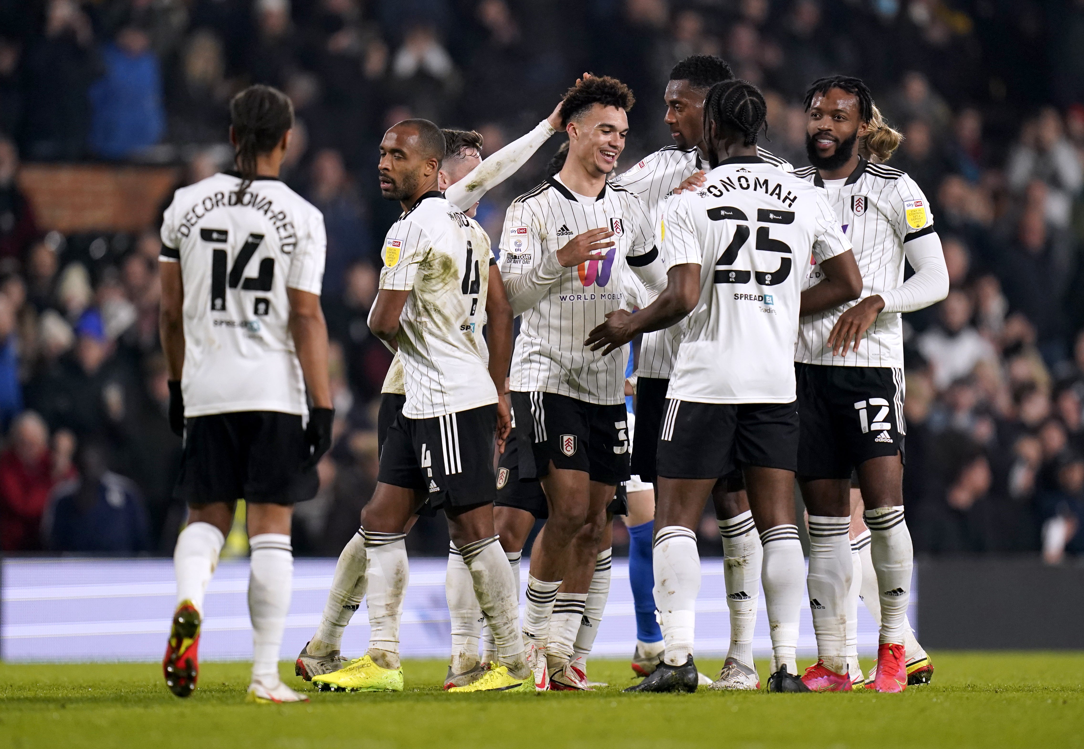 Fulham are flying high in the Championship this season (Andrew Matthews/PA)