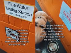 Woman shares dog birthday party complete with ‘fine water tasting station’: ‘Millennials are extra’