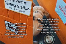 Woman shares dog birthday party complete with ‘fine water tasting station’: ‘Millennials are extra’