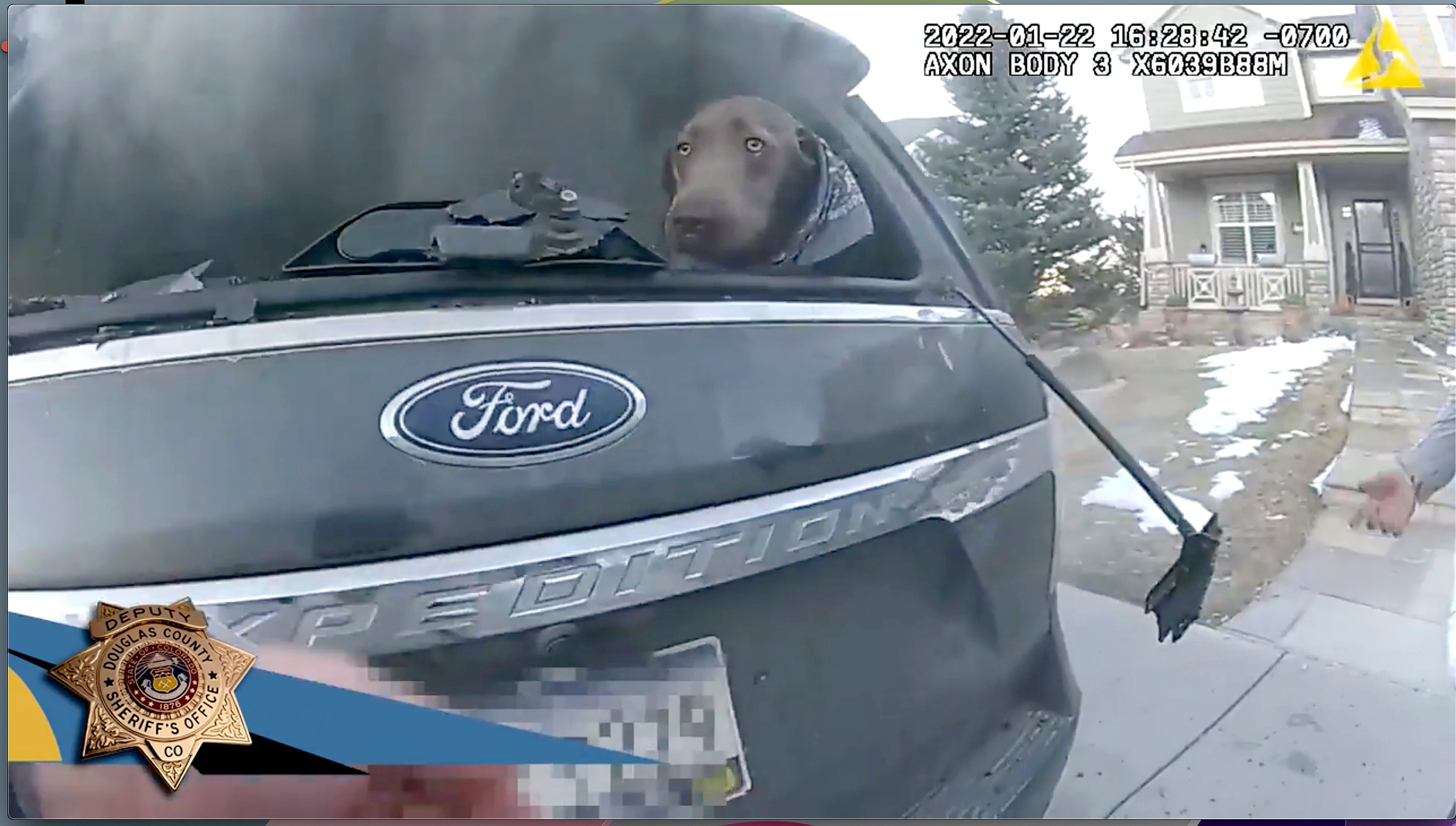 Burning SUV Dog Rescue