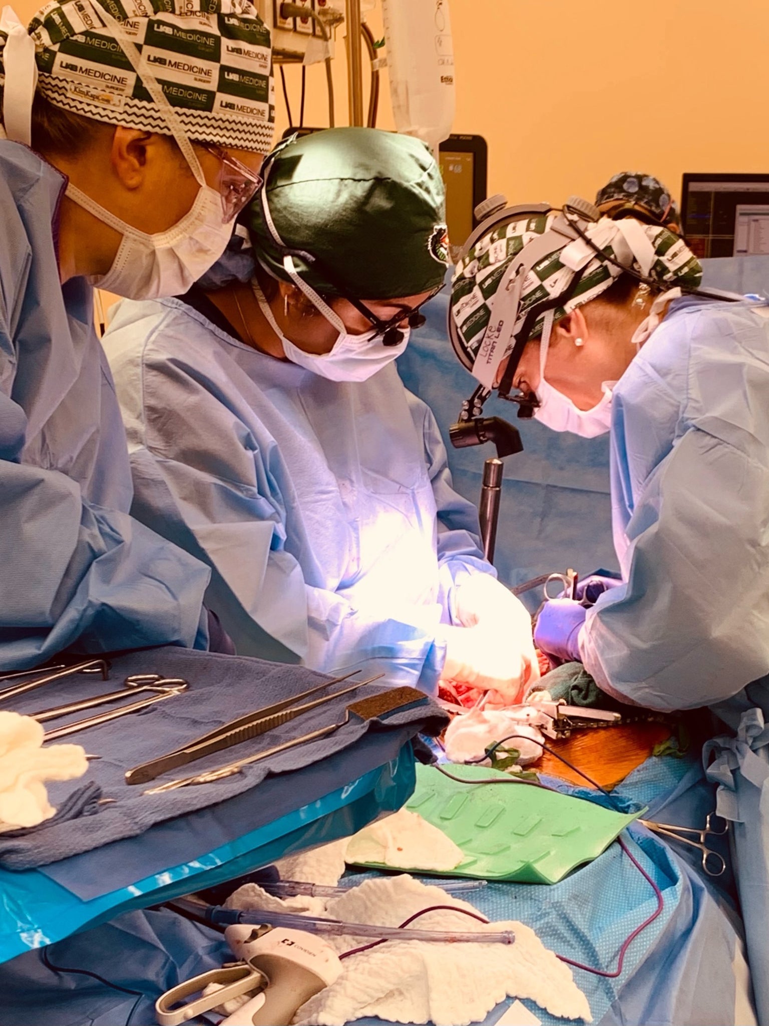 A surgical team prepares the abdomen of a brain-dead recipient before transplanting in a pig kidney