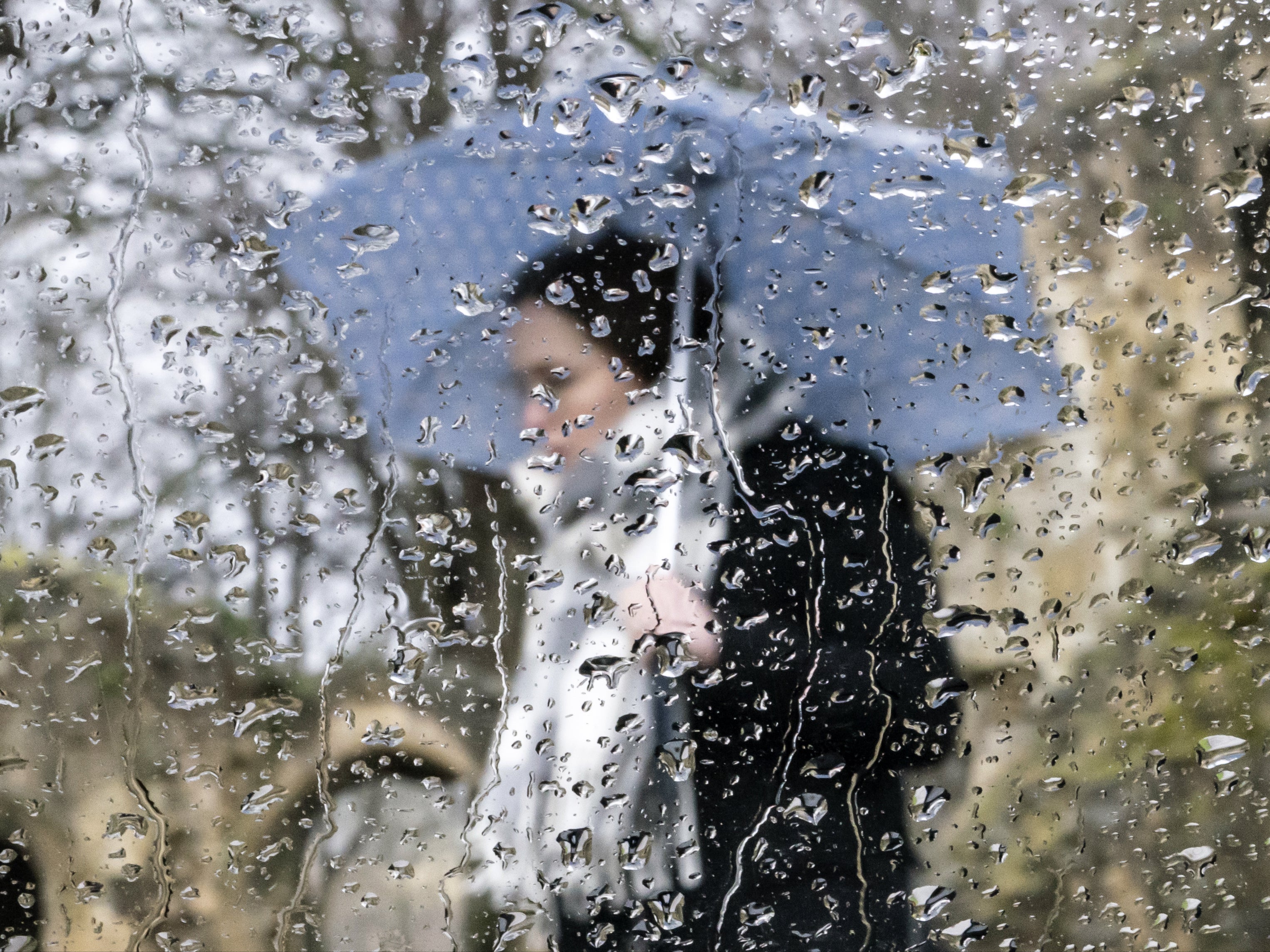 A woman with an umbrella near Knaresborough Castle in North Yorkshire on 5 February 2022