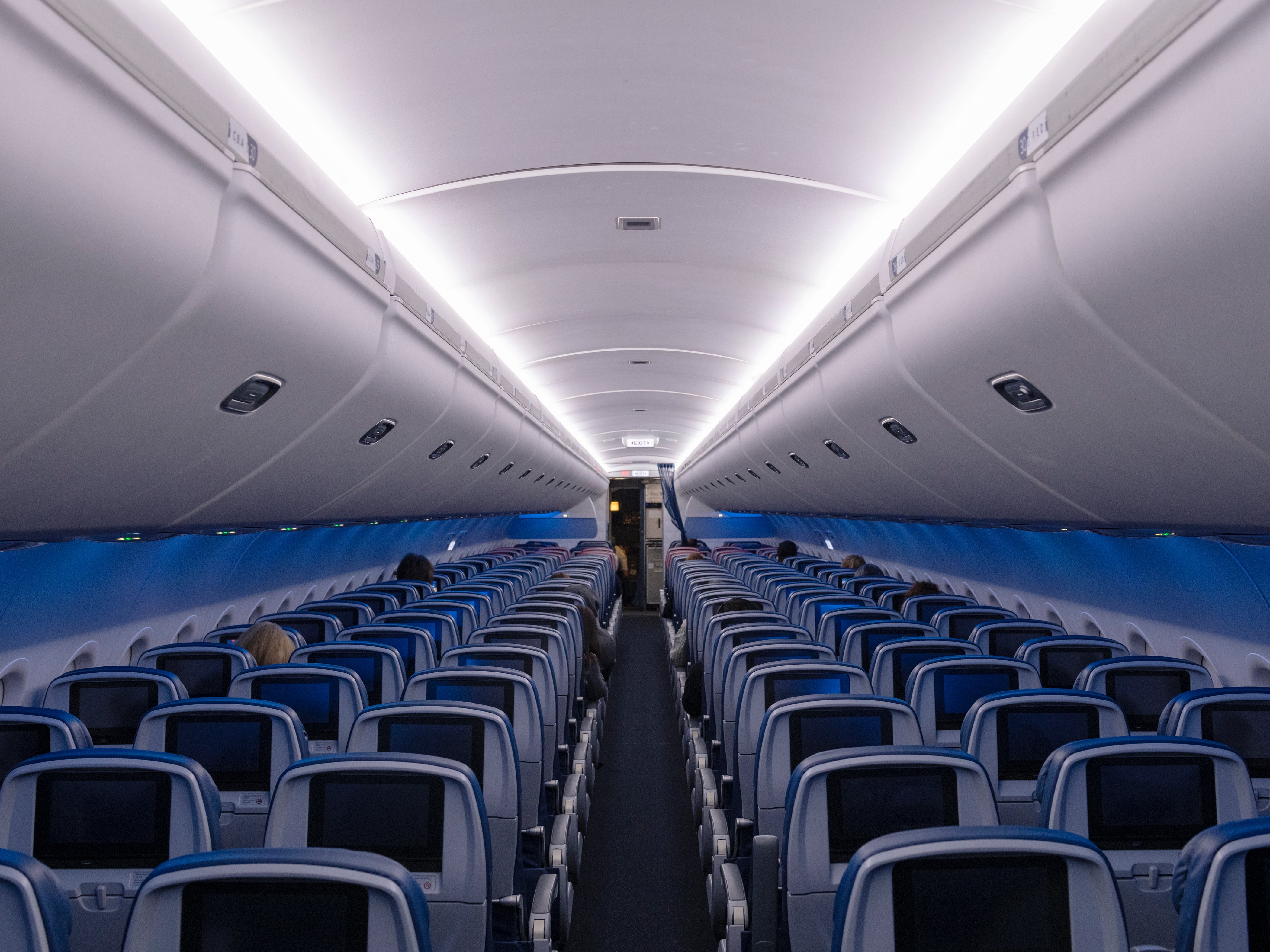 Delta CEO pleads for no-fly list for unruly passengers