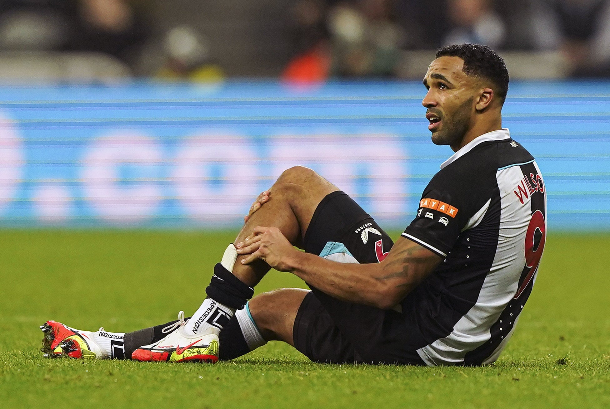 Newcastle striker Callum Wilson could be missing until the final few games of the Premier League season (Owen Humphreys/PA)