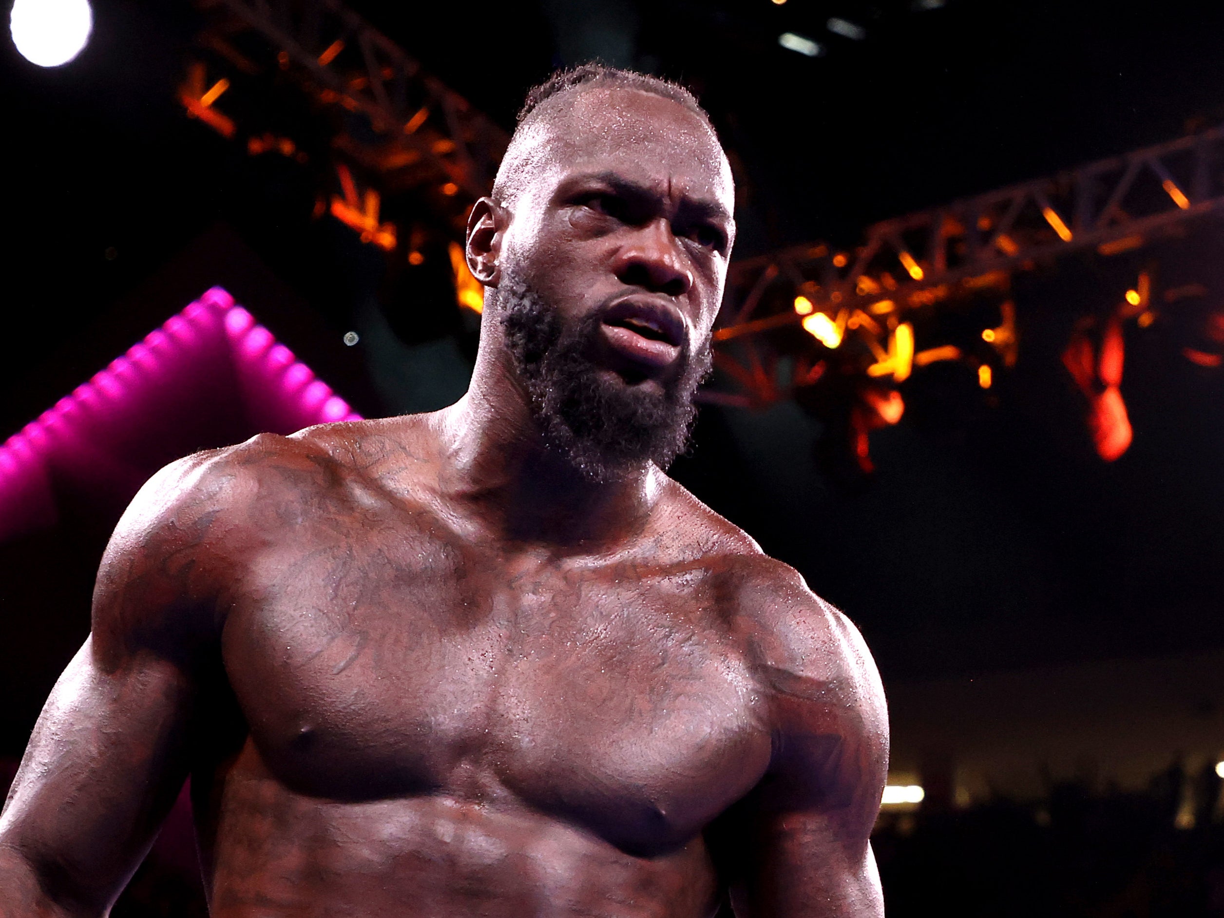 Wilder last fought Tyson Fury