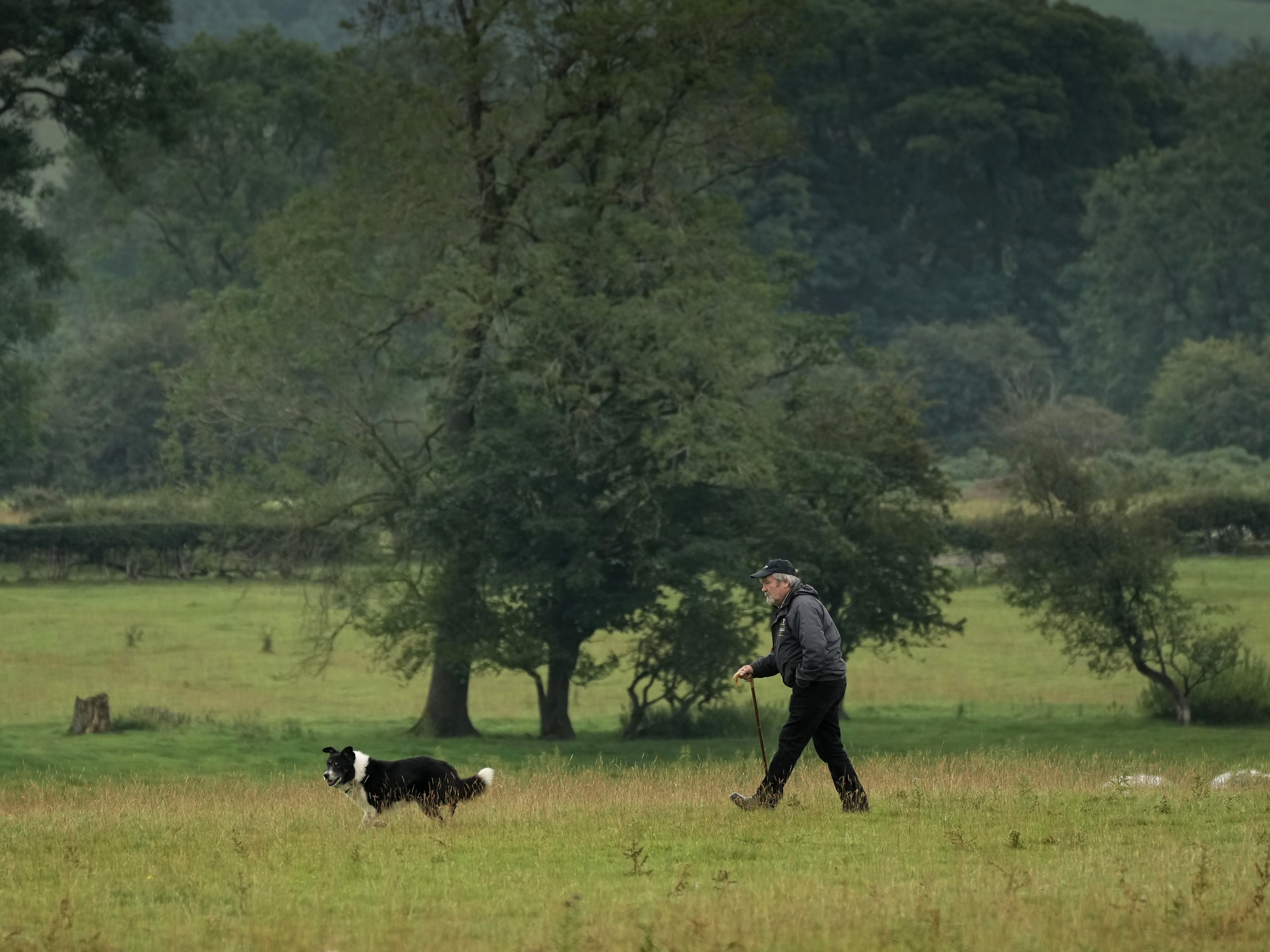 Many dog walkers are under the impression that leaving their pet’s waste products in nature is completely harmless