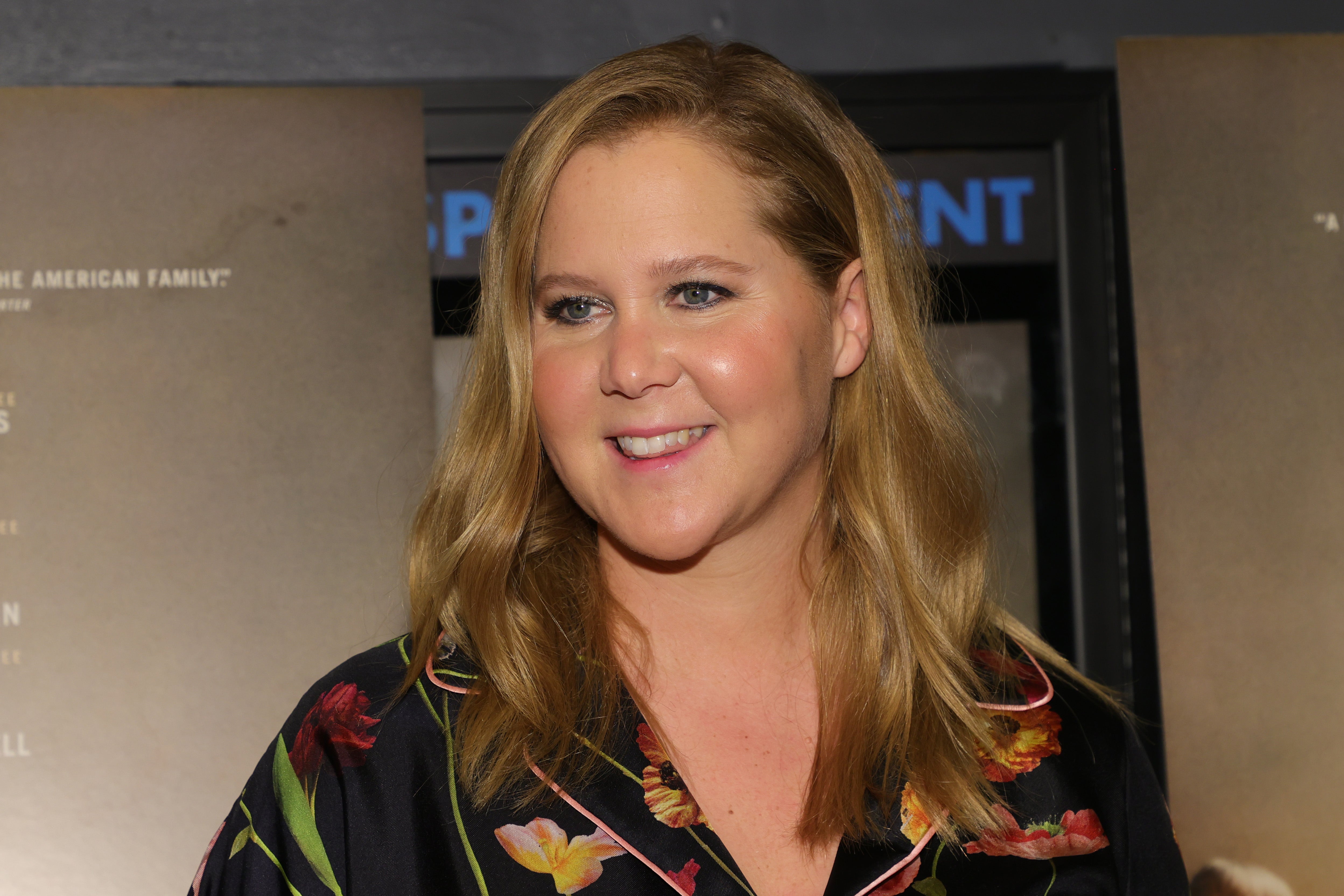 Amy Schumer has been praised for her candid appraisal of motherhood