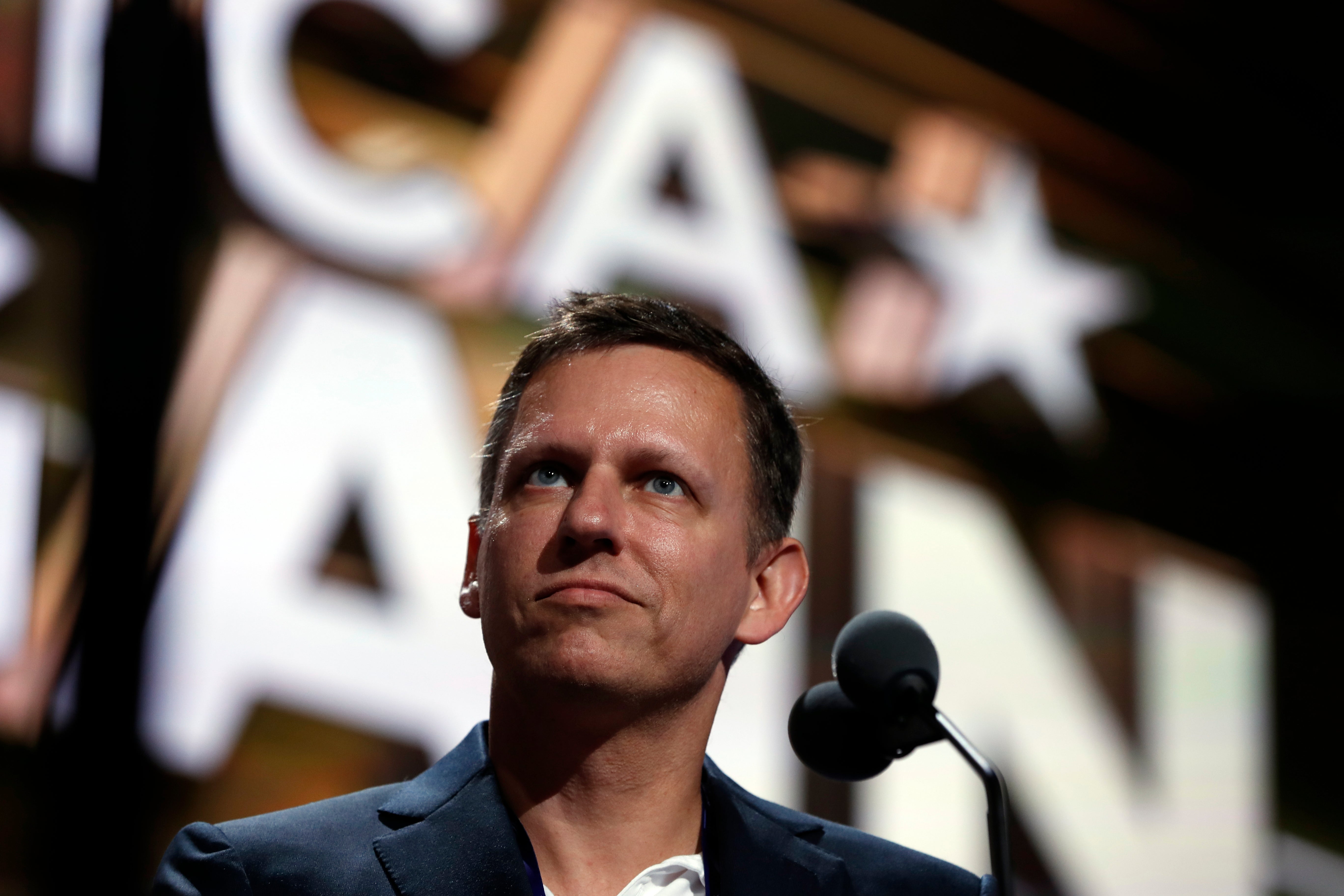 Peter Thiel-Meta Board