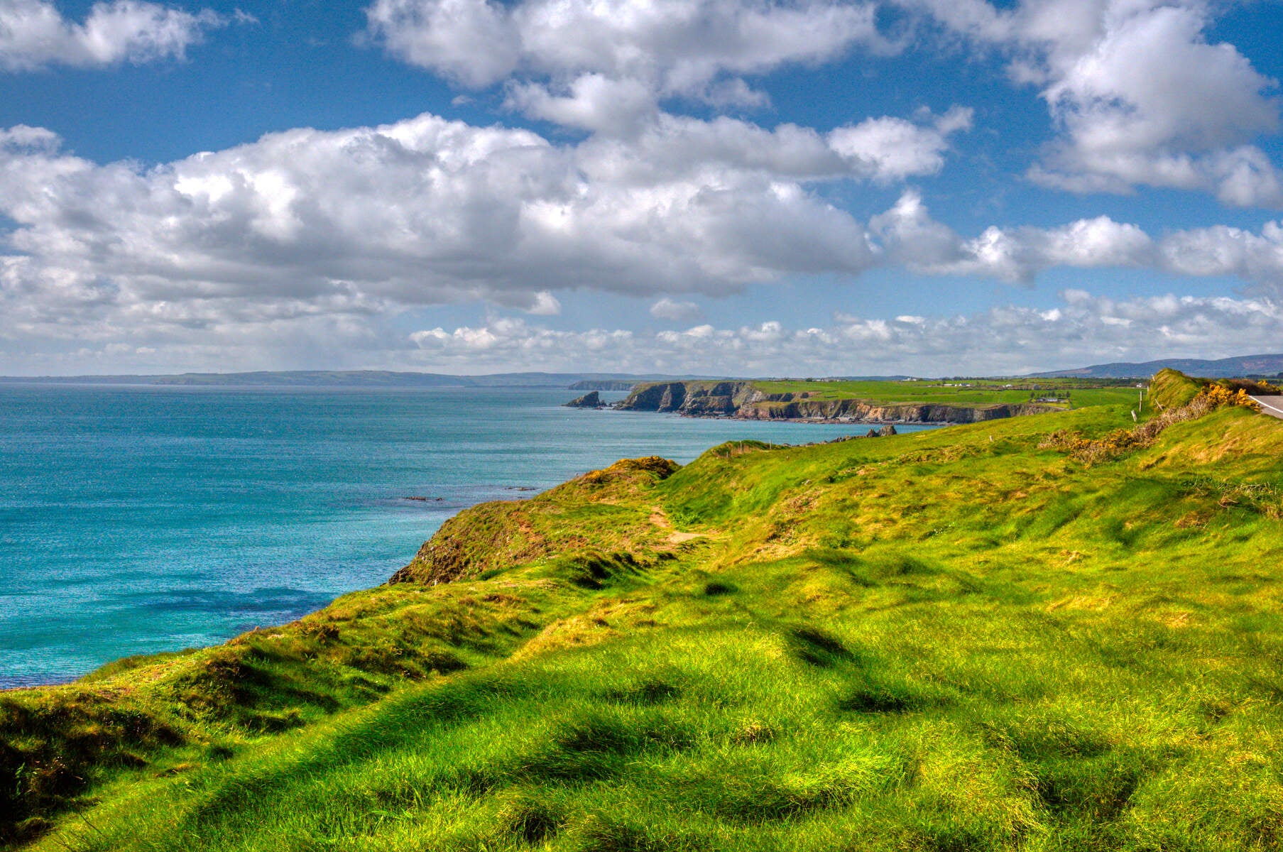 The Copper Coast was formed by volcanic activity 460 million years ago