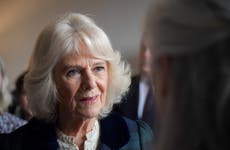 Camilla visits ‘lifeline’ charity helping survivors of domestic abuse