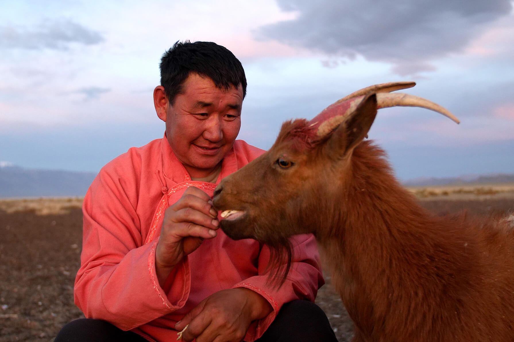 Their cashmere is sourced sustainably, supporting herders, goats and the environment