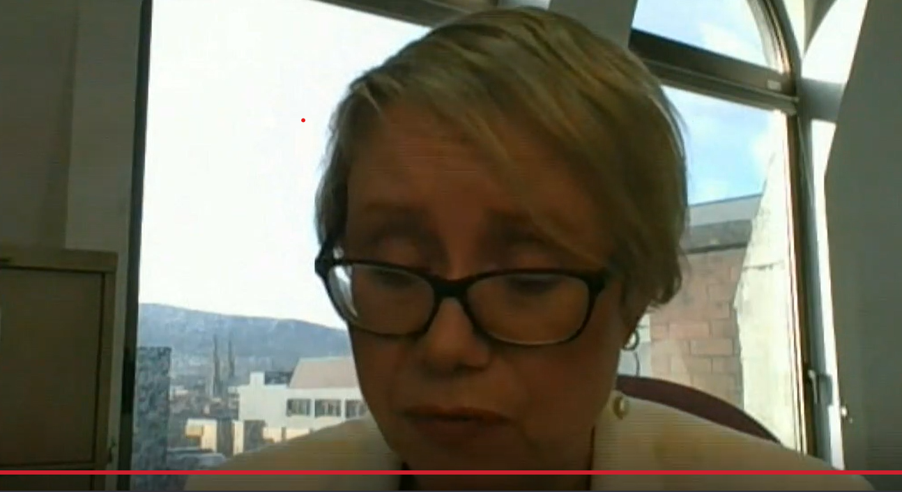 The Commissioner for Survivors of Institutional Childhood Abuse Fiona Ryan appeared before a Stormont committee (NI Assembly/PA)