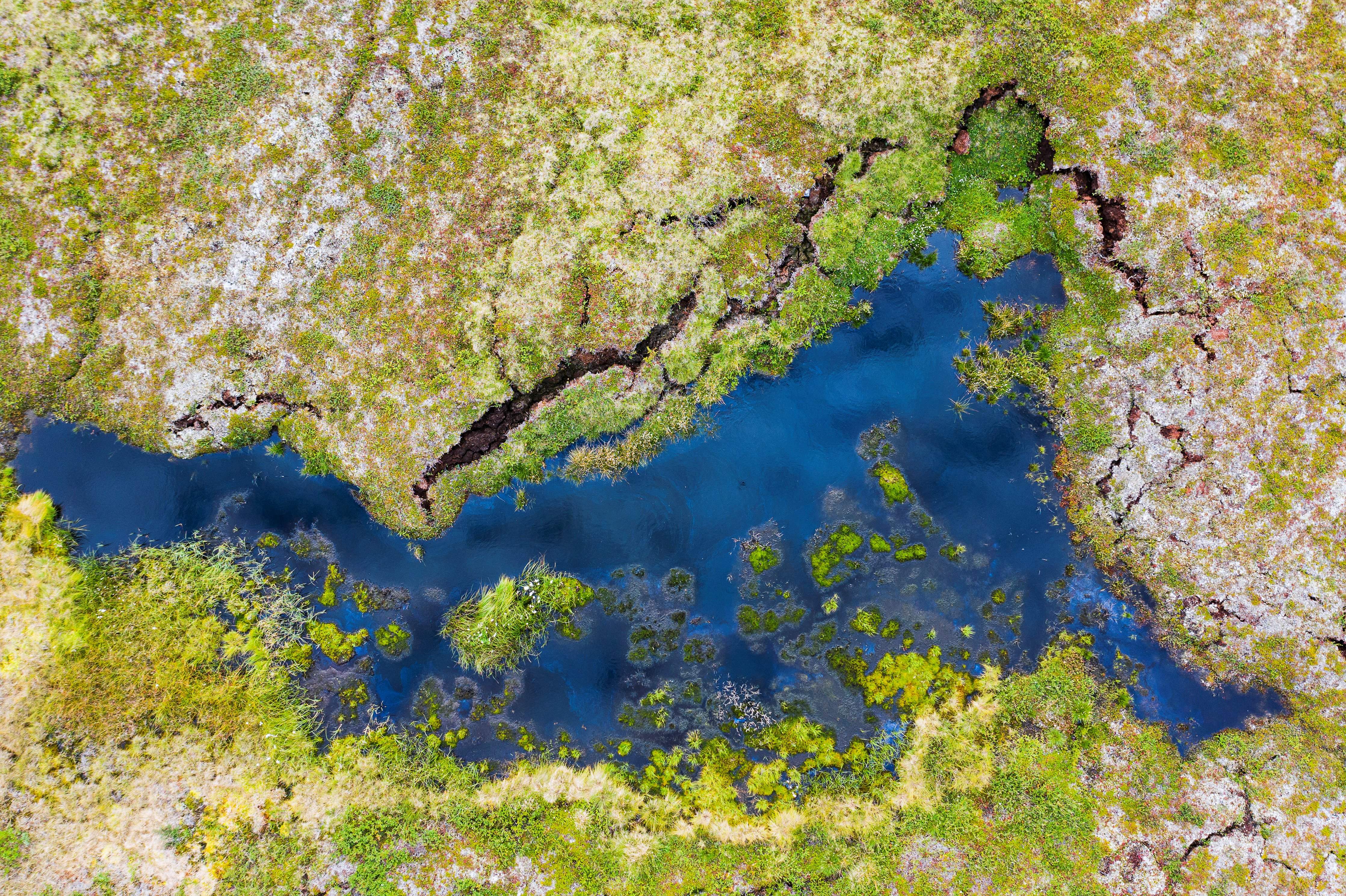 Permafrost in the Arctic in the far north of Sweden