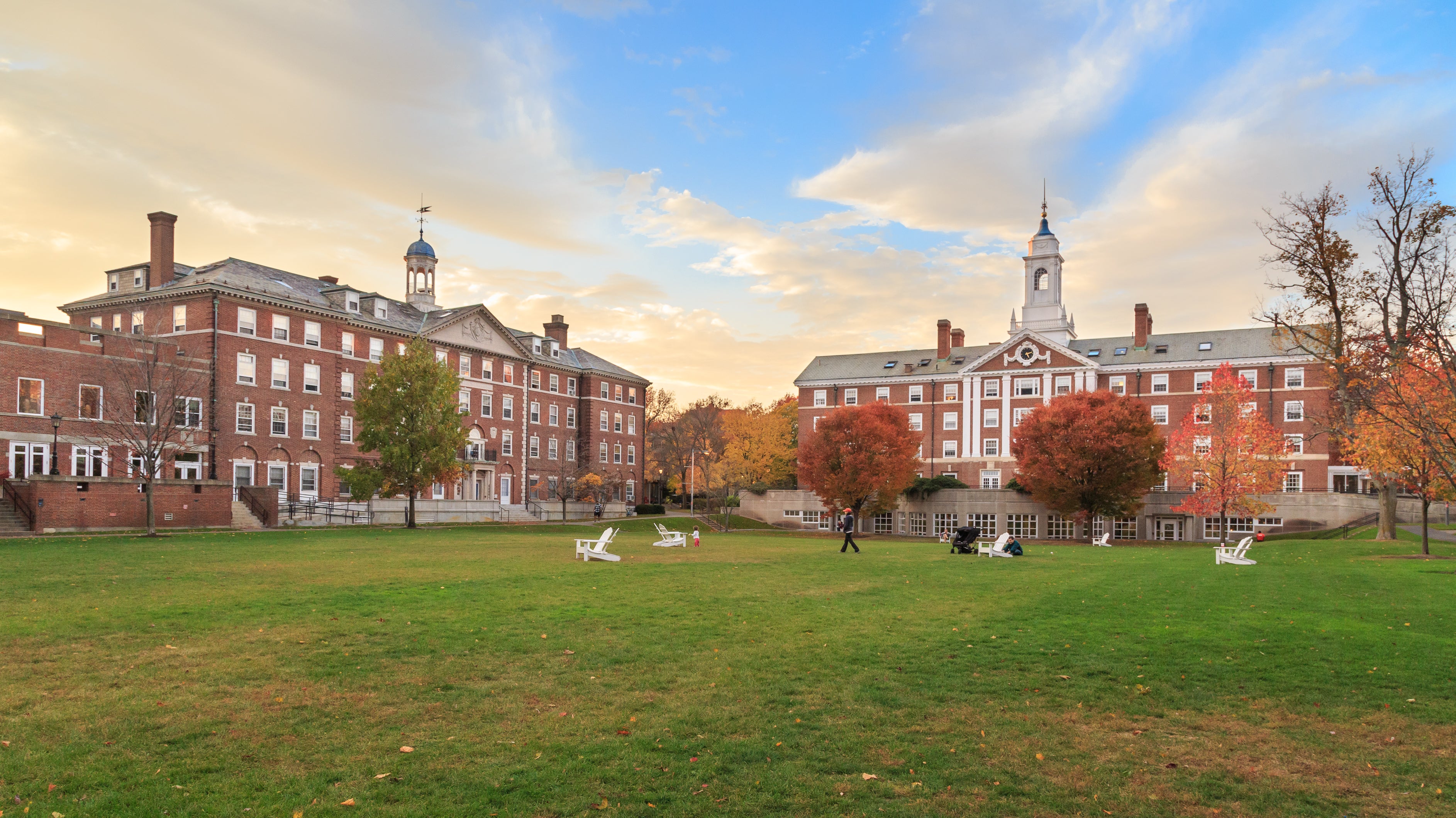 Harvard University