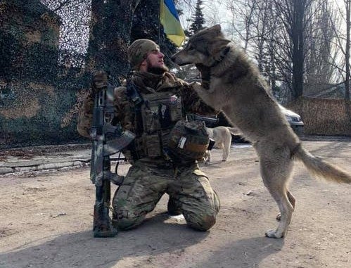 Dmytro Kotsyubaylo with the wolf that became a symbol of his unit