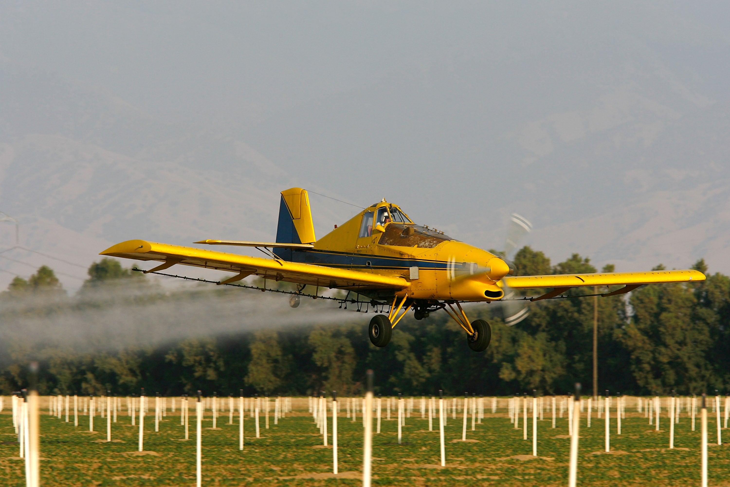 Human exposure to toxic weed-killer 2,4-D has been rising as agricultural use of the chemical has increased