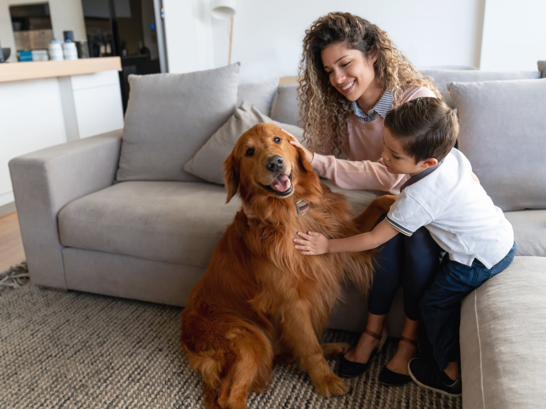 Children genetically predisposed to eczema may benefit from having a pet dog