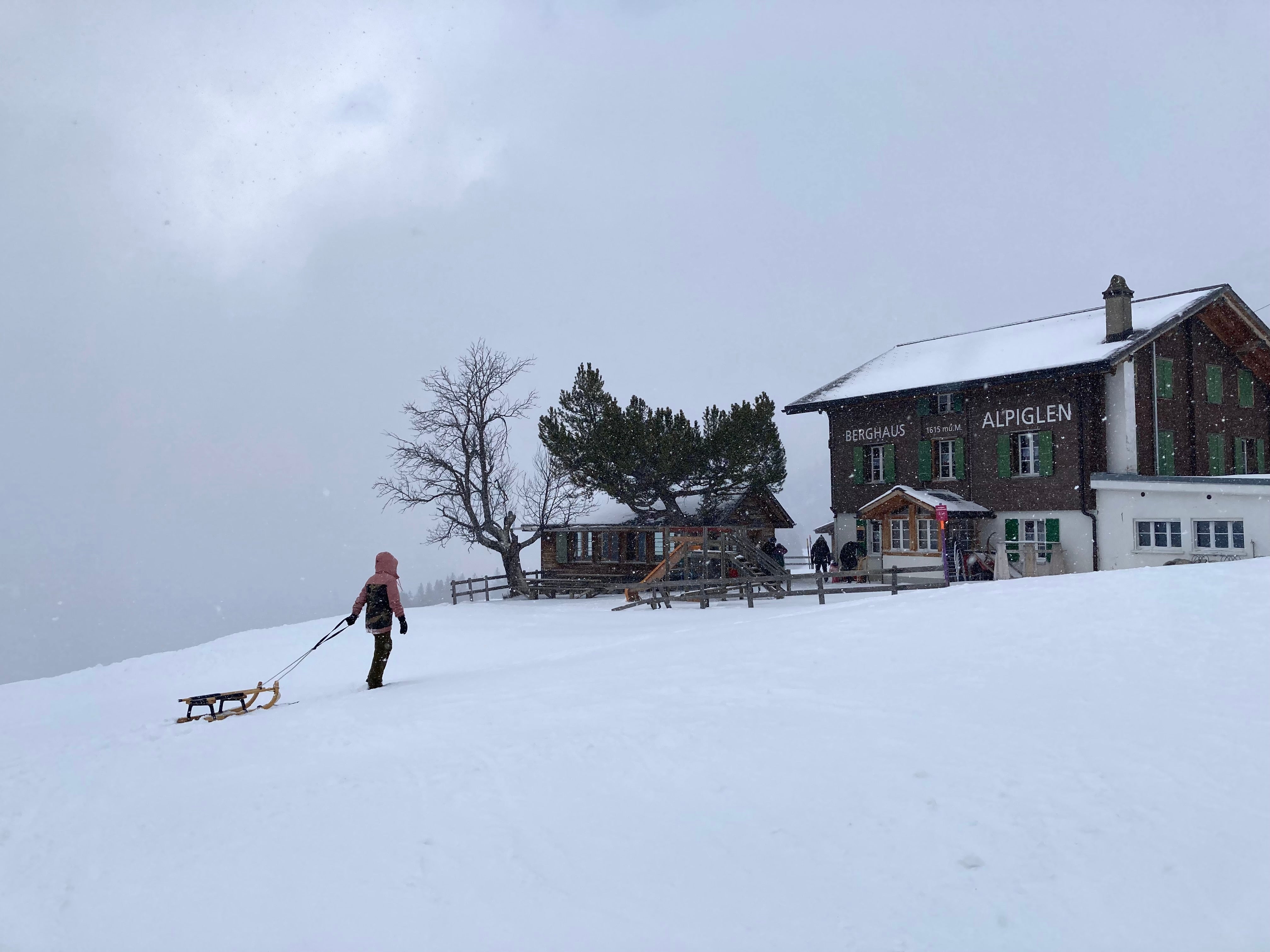 Sister sledge: Tobogganing is the coolest way to explore