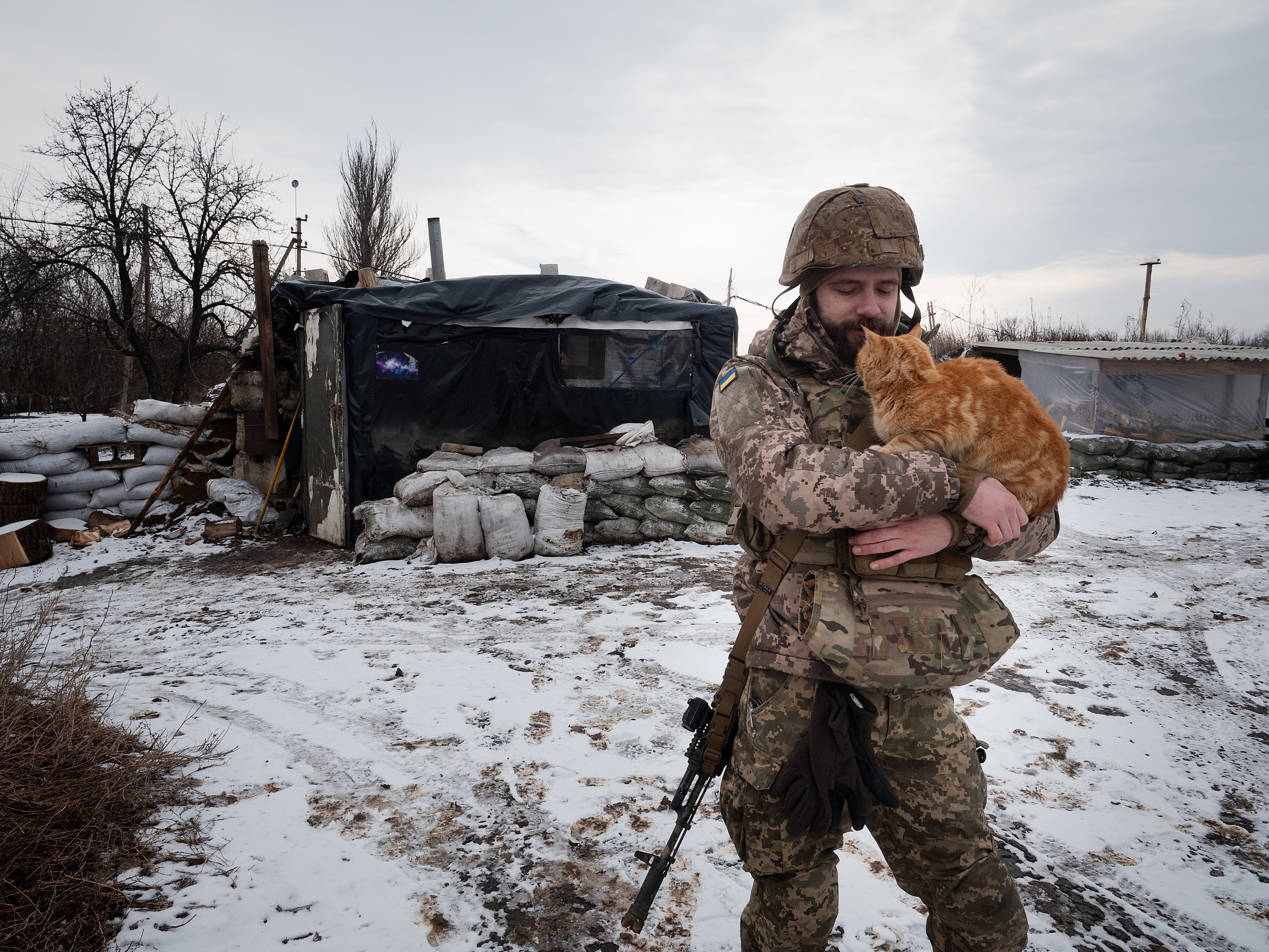 Ukrainian serviceman Oleksii Hodzenko, aka Godzilla, with a cat near Verkhnotoretske, Ukraine