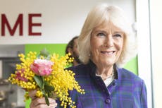 Camilla tests positive for Covid days after Charles contracts virus