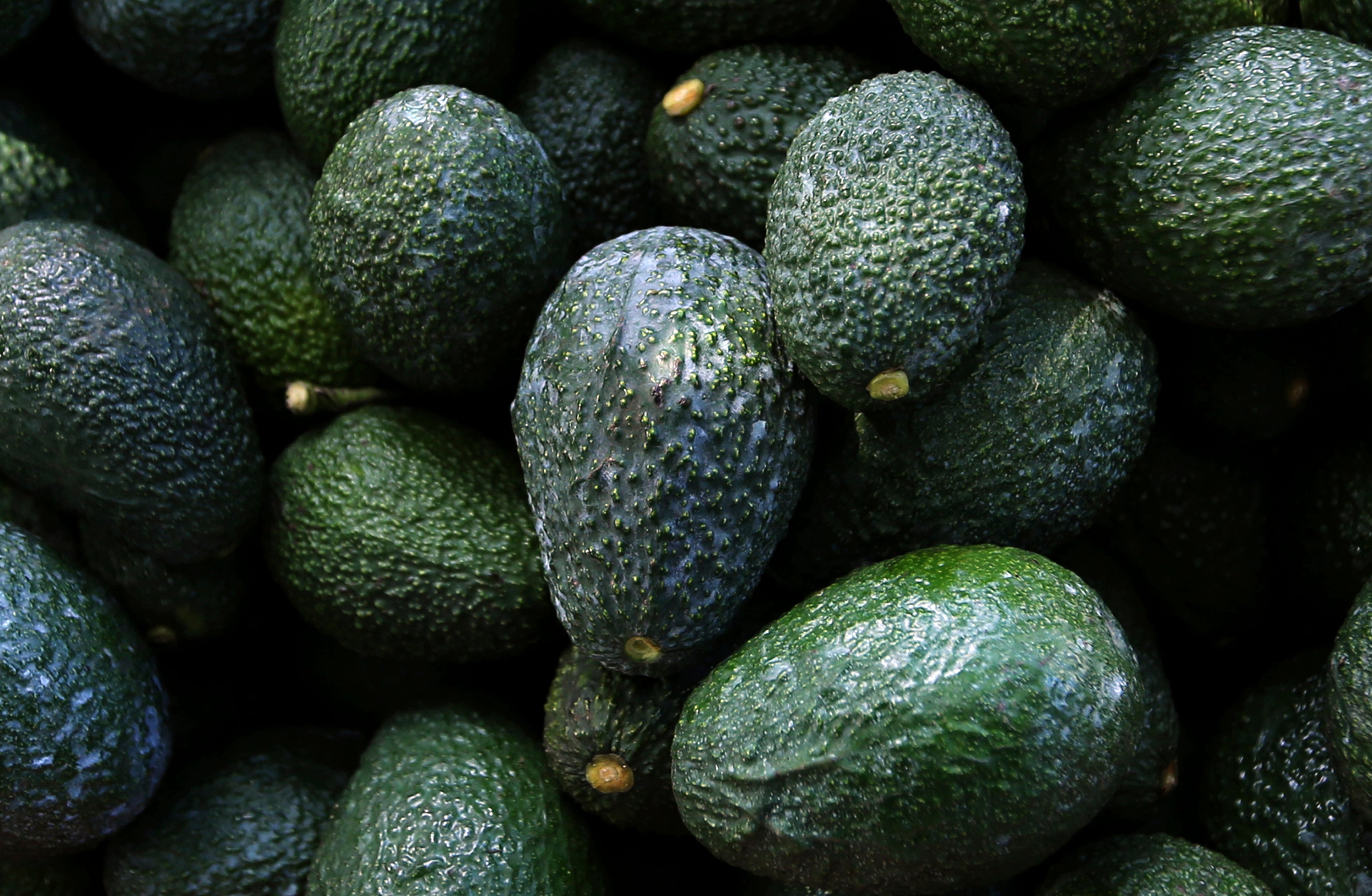 Mexico Avocado Violence